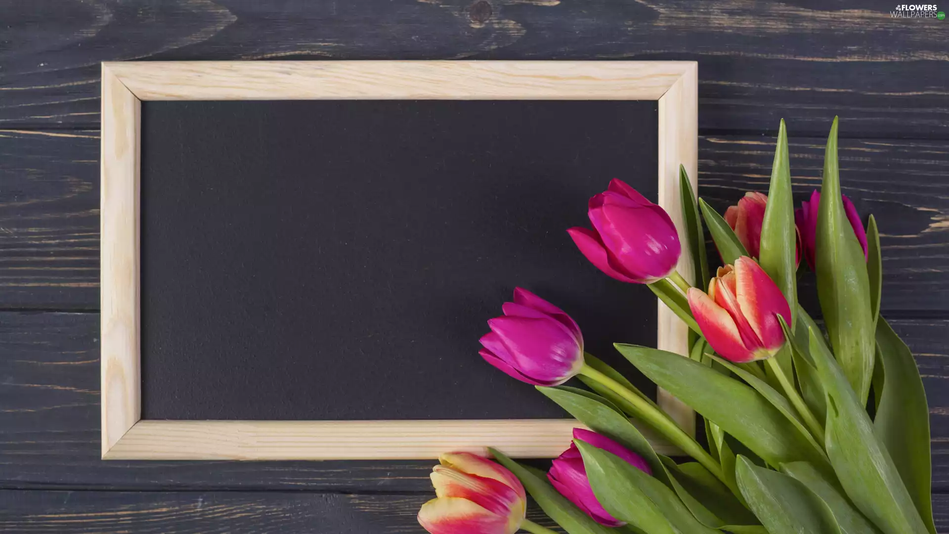 plate, Tulips, bouquet