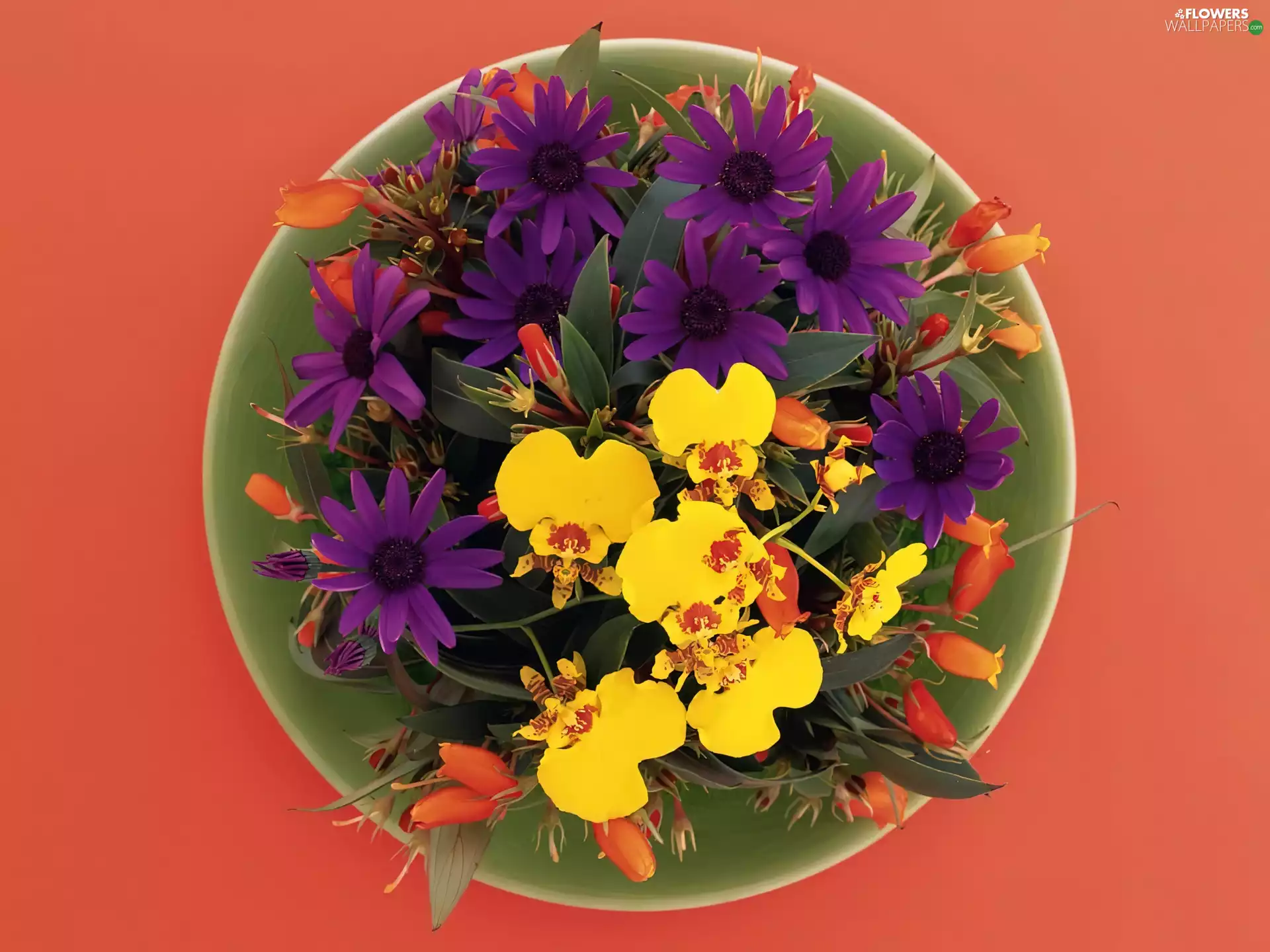 plate, bouquet, flowers
