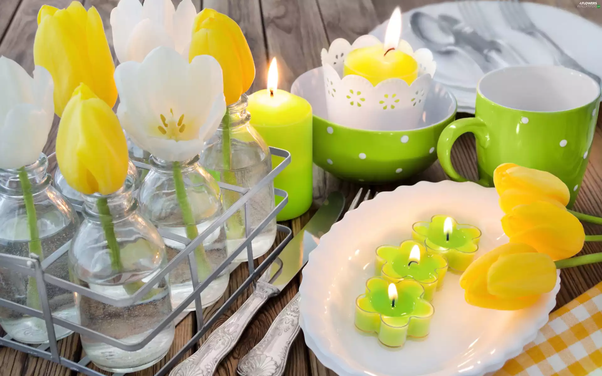 Bottles, composition, Candles, plate, Tulips, Flowers