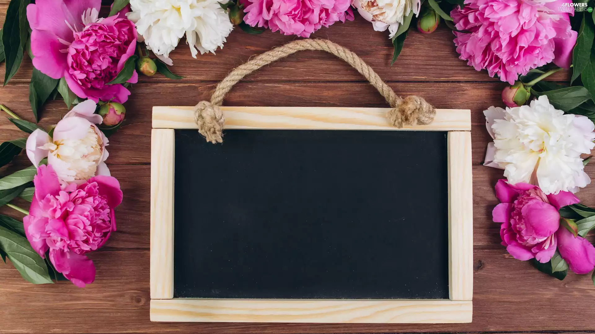 plate, Flowers, Peonies