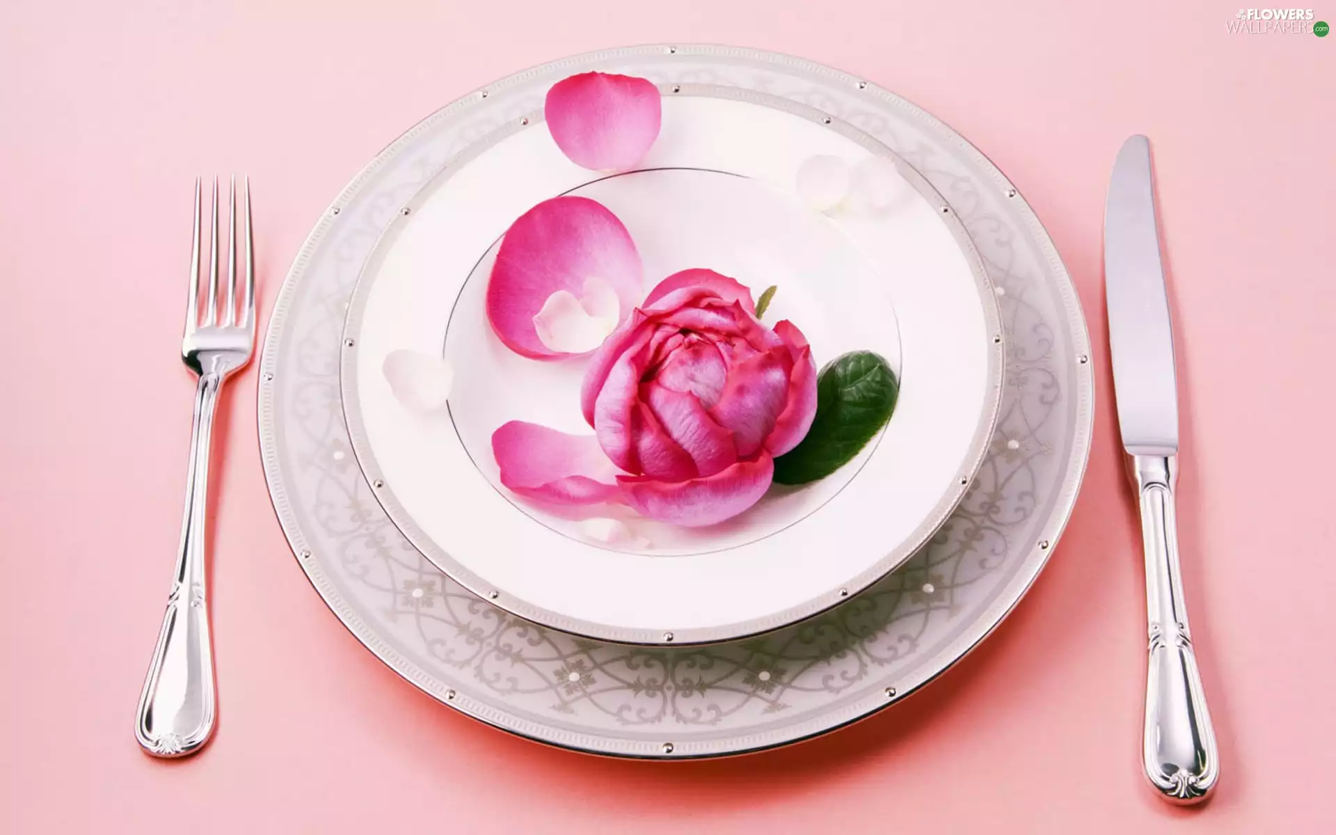 rose, plate