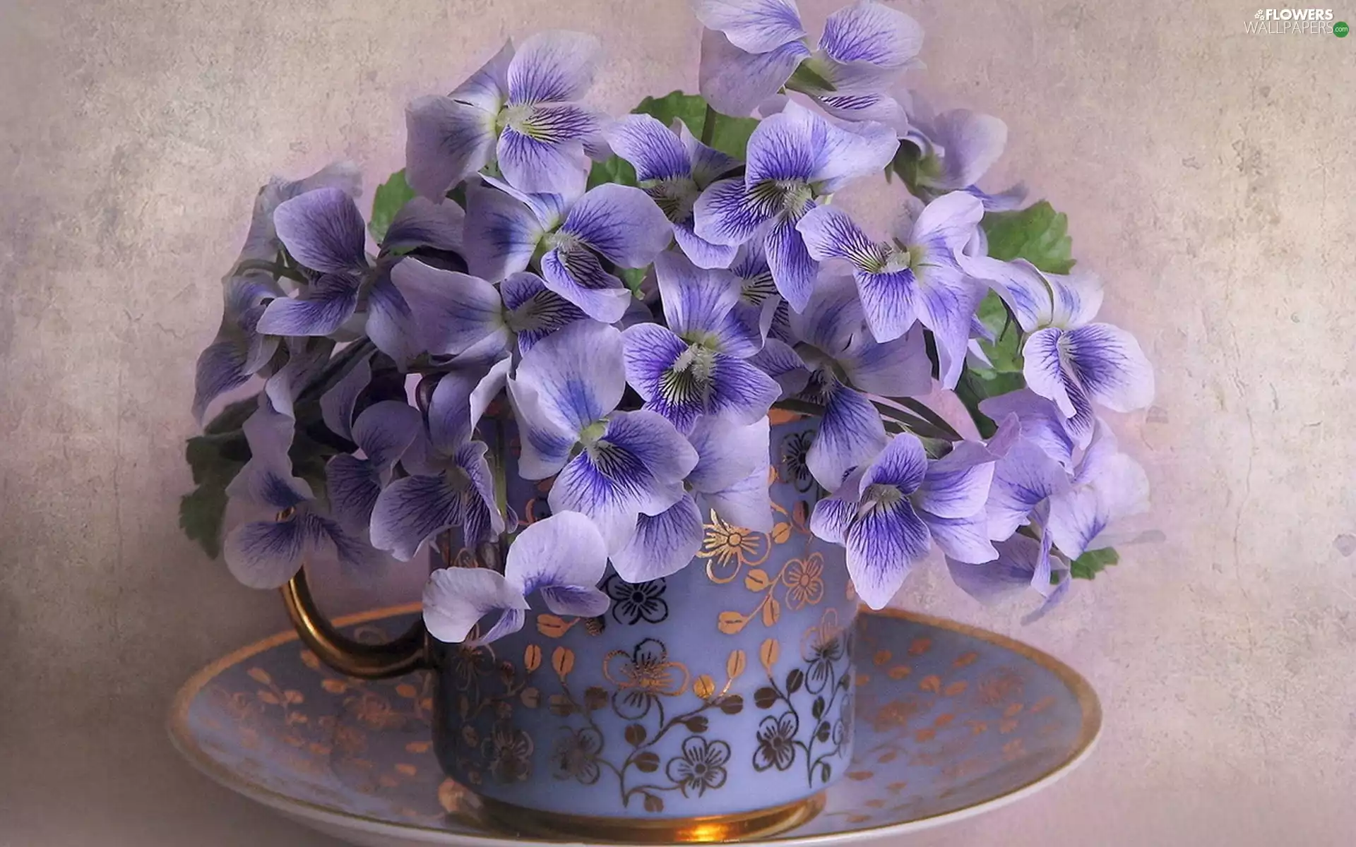 cup, plate, Violets, bouquet, purple