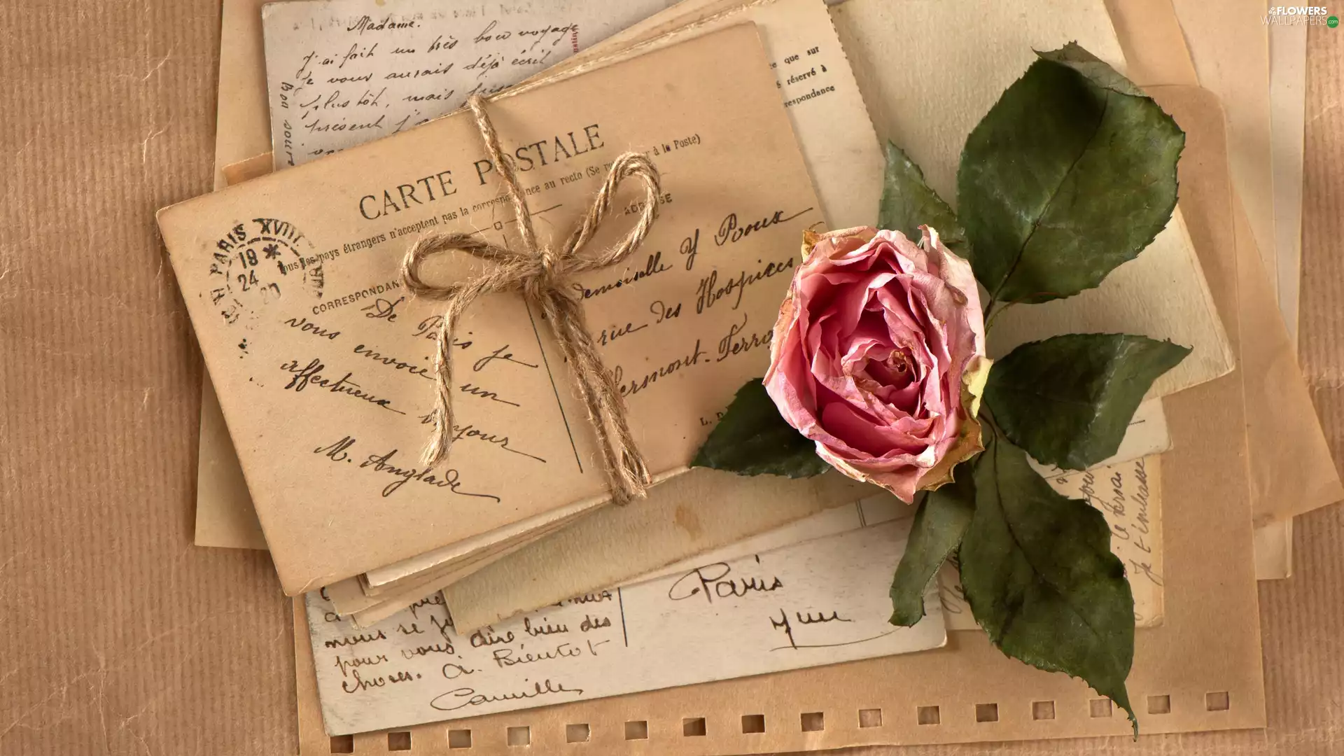 Post, composition, rose, Cards, Dried