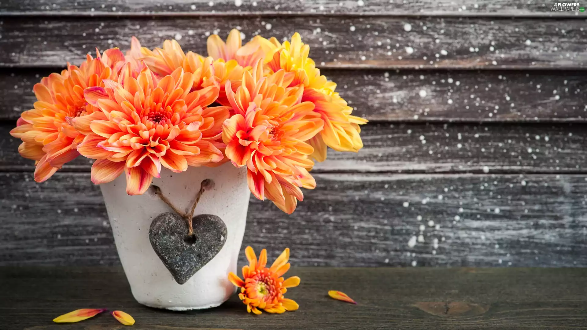 Orange, pot, Heart teddybear, Chrysanthemums