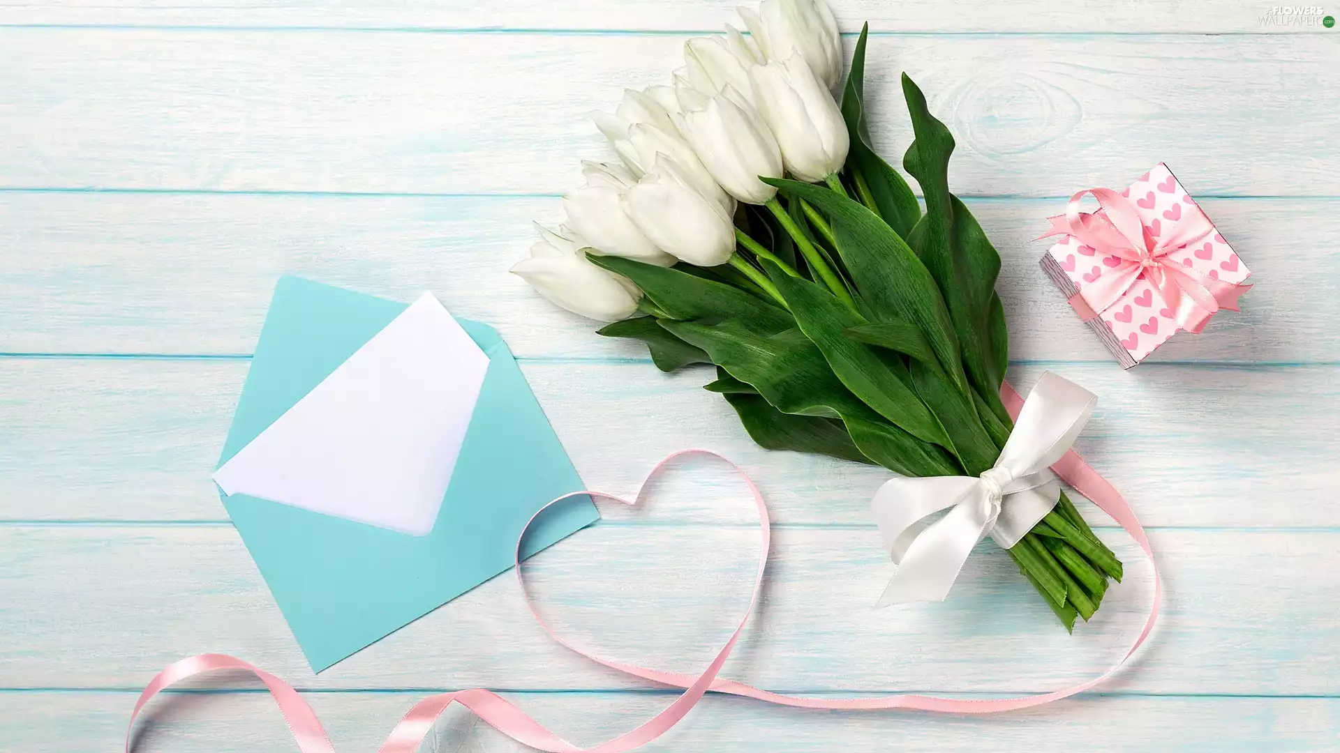 Blue, Tulips, card, Present, White, envelope, Ribbons