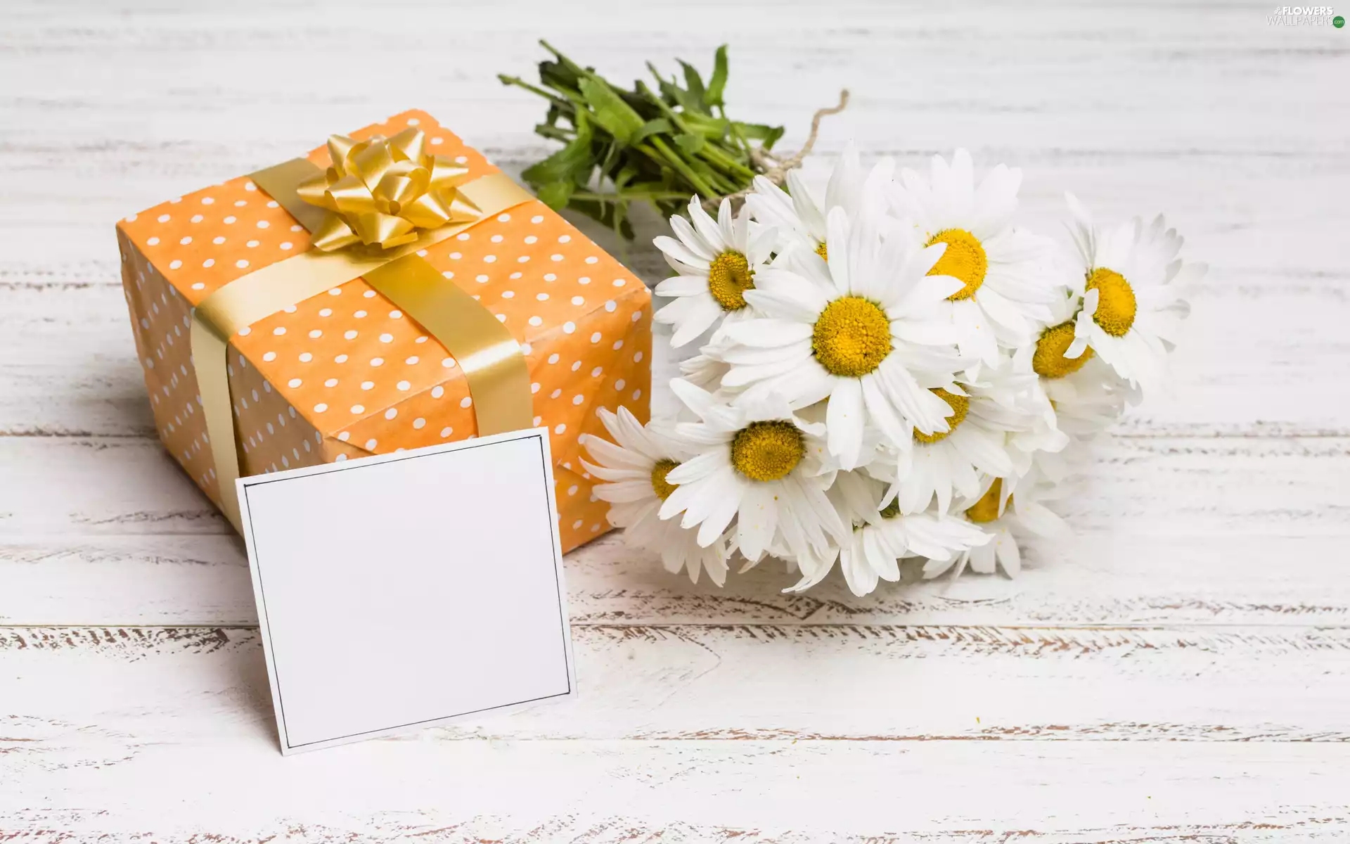 Yellow, daisy, chit, Present, Flowers, package, boarding