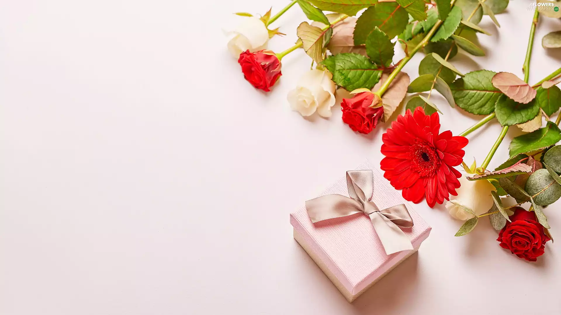 Present, roses, Gerbera