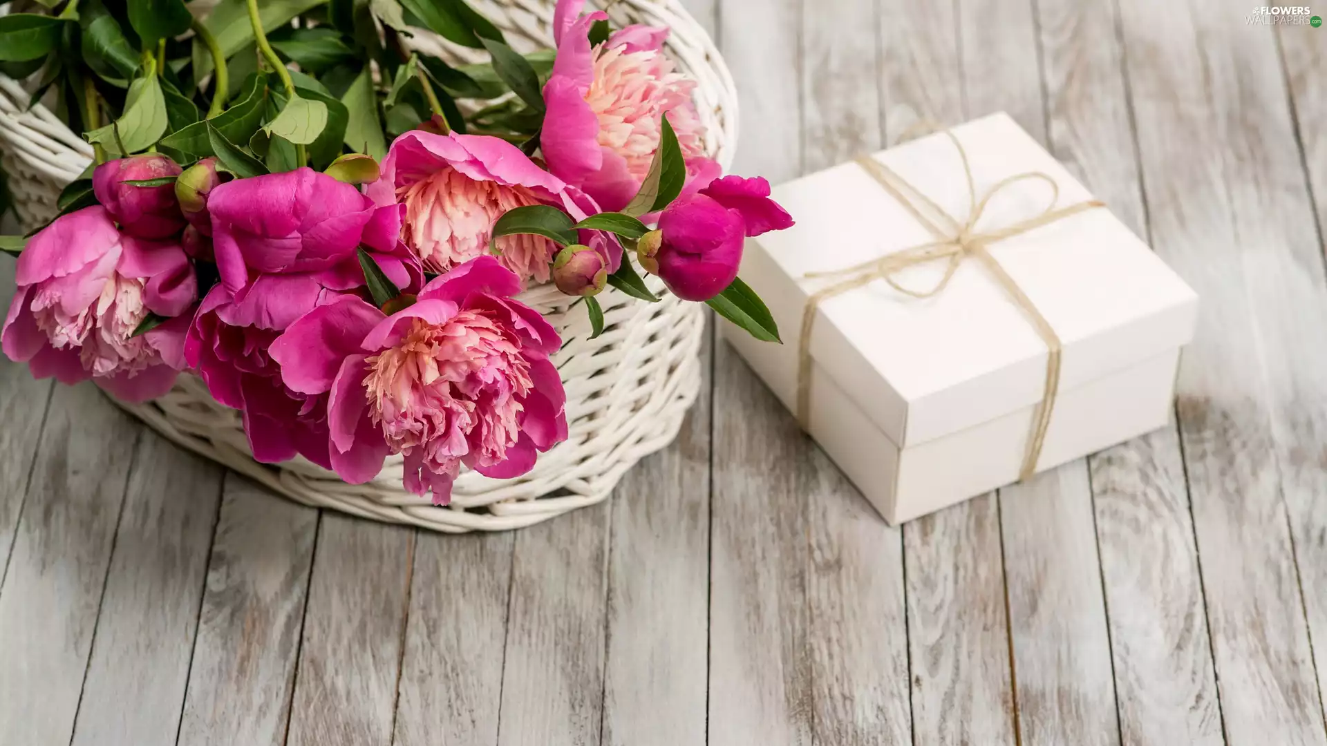 boarding, Present, Peonies, basket, Pink