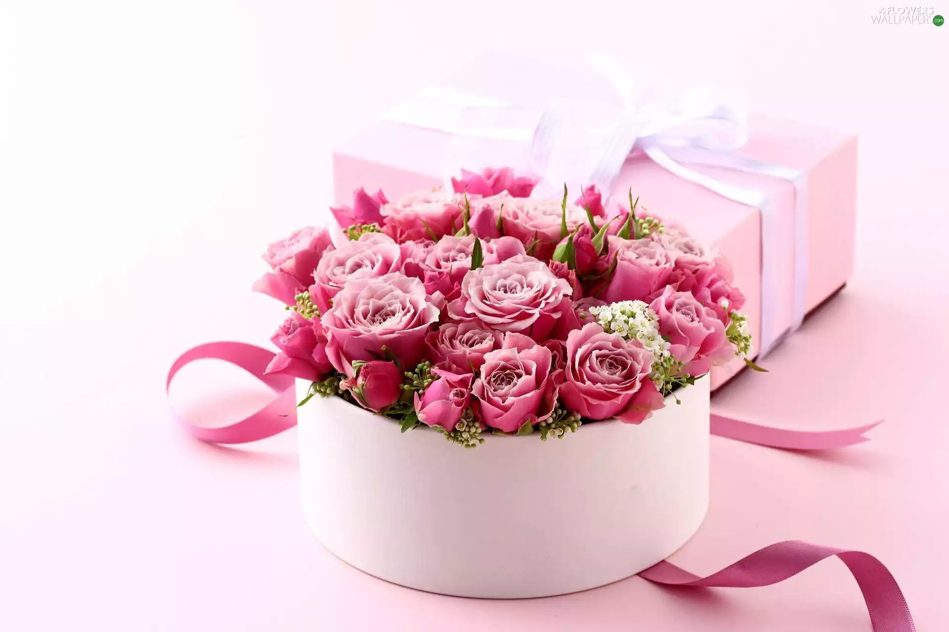 Flowers, Present, Pink, roses, composition