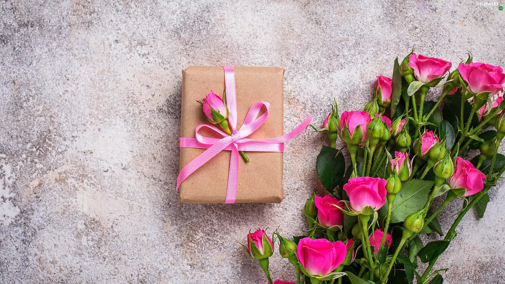 Buds, Present, Pink, roses, Flowers