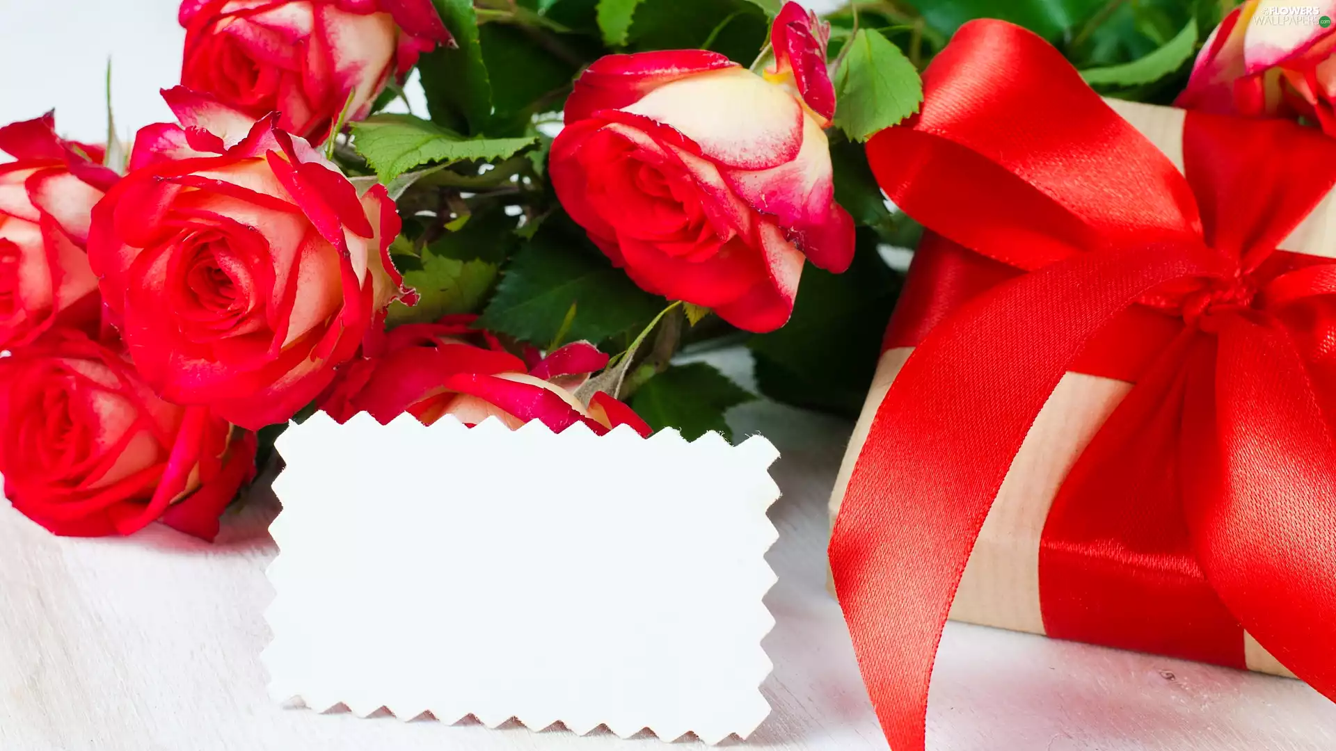 card, Present, roses, White, Flowers