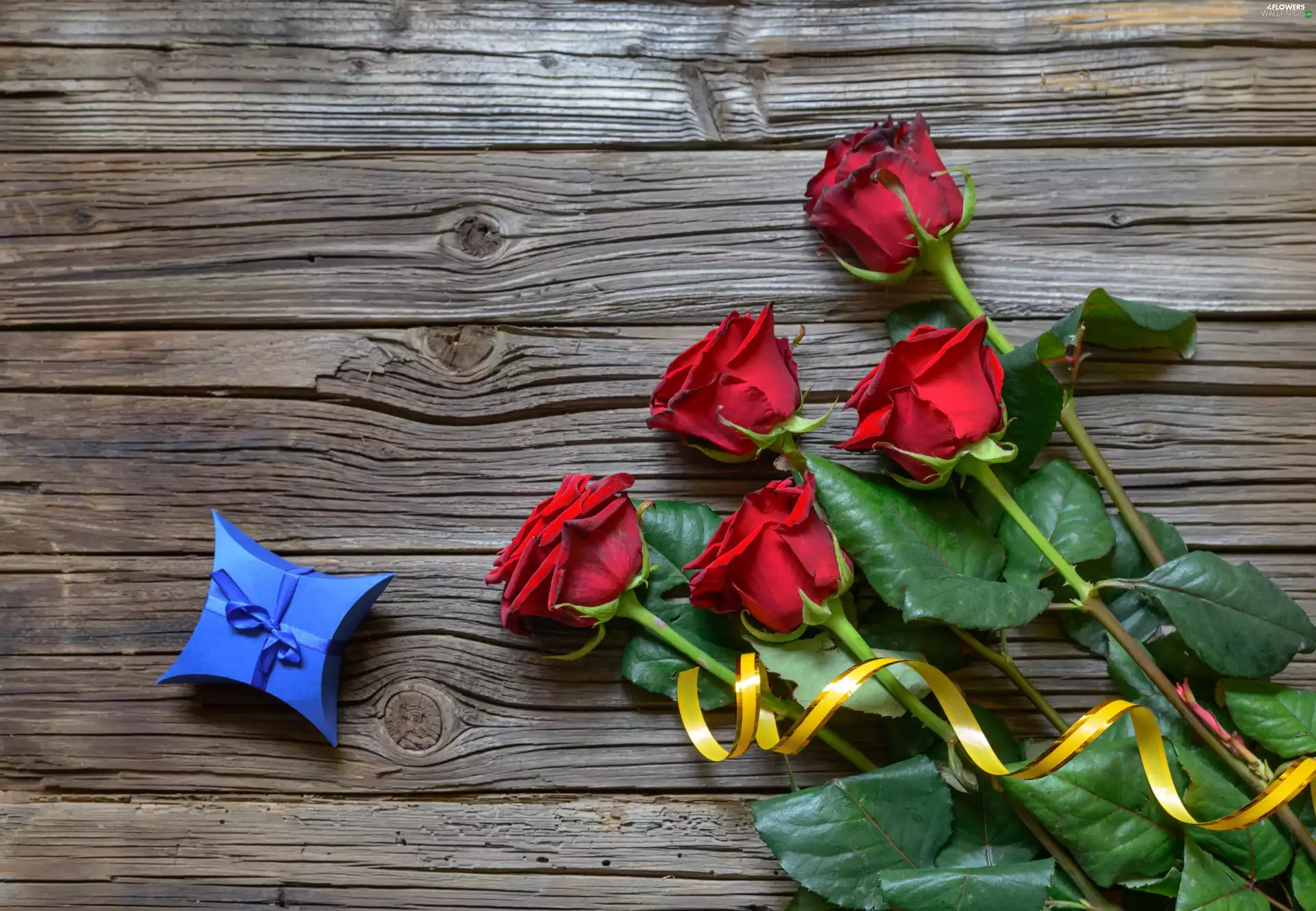 Present, Red, roses