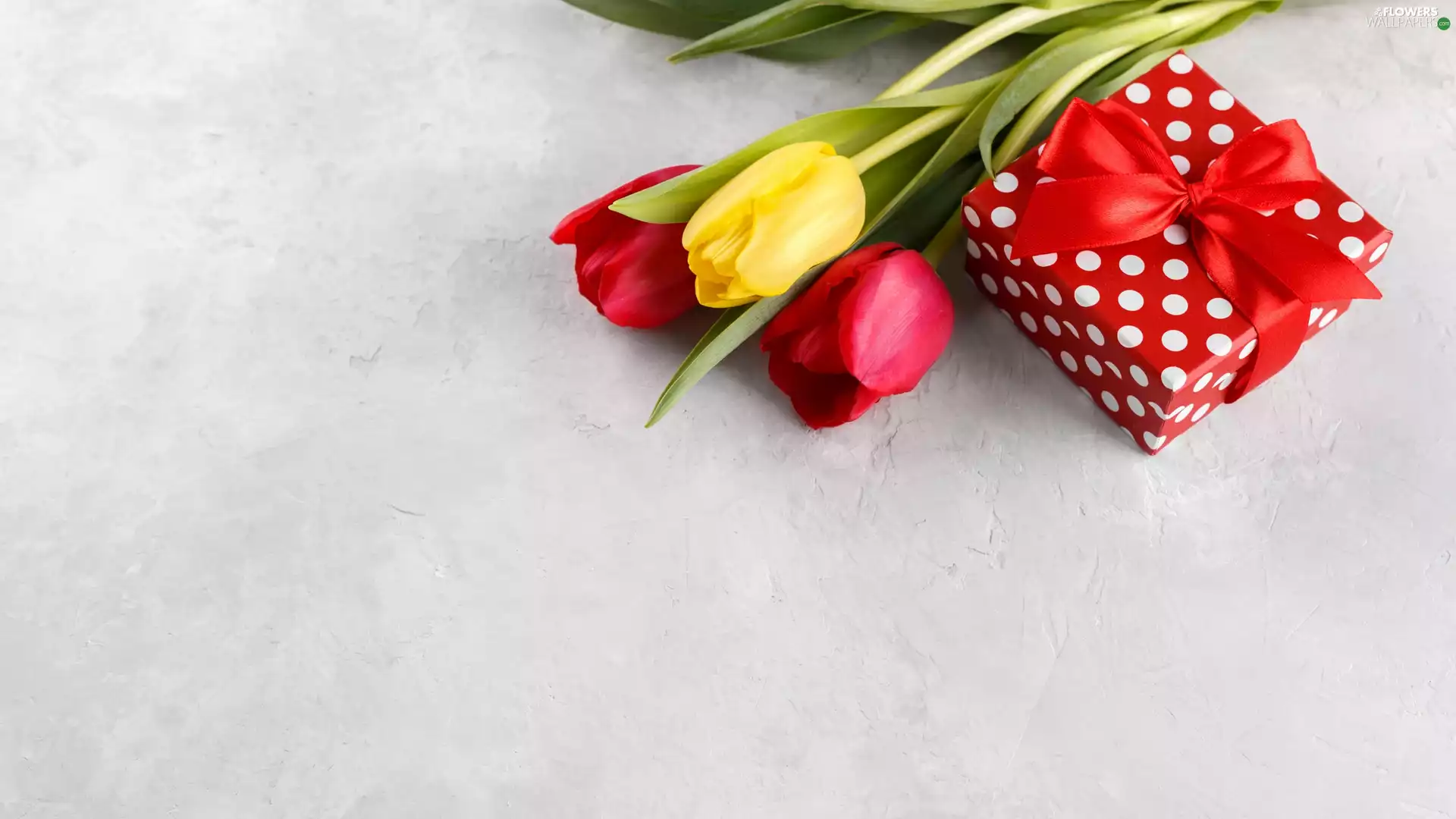 Present, Three, Tulips