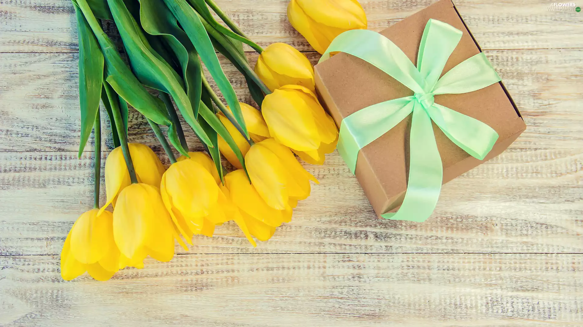 Present, Yellow, Tulips