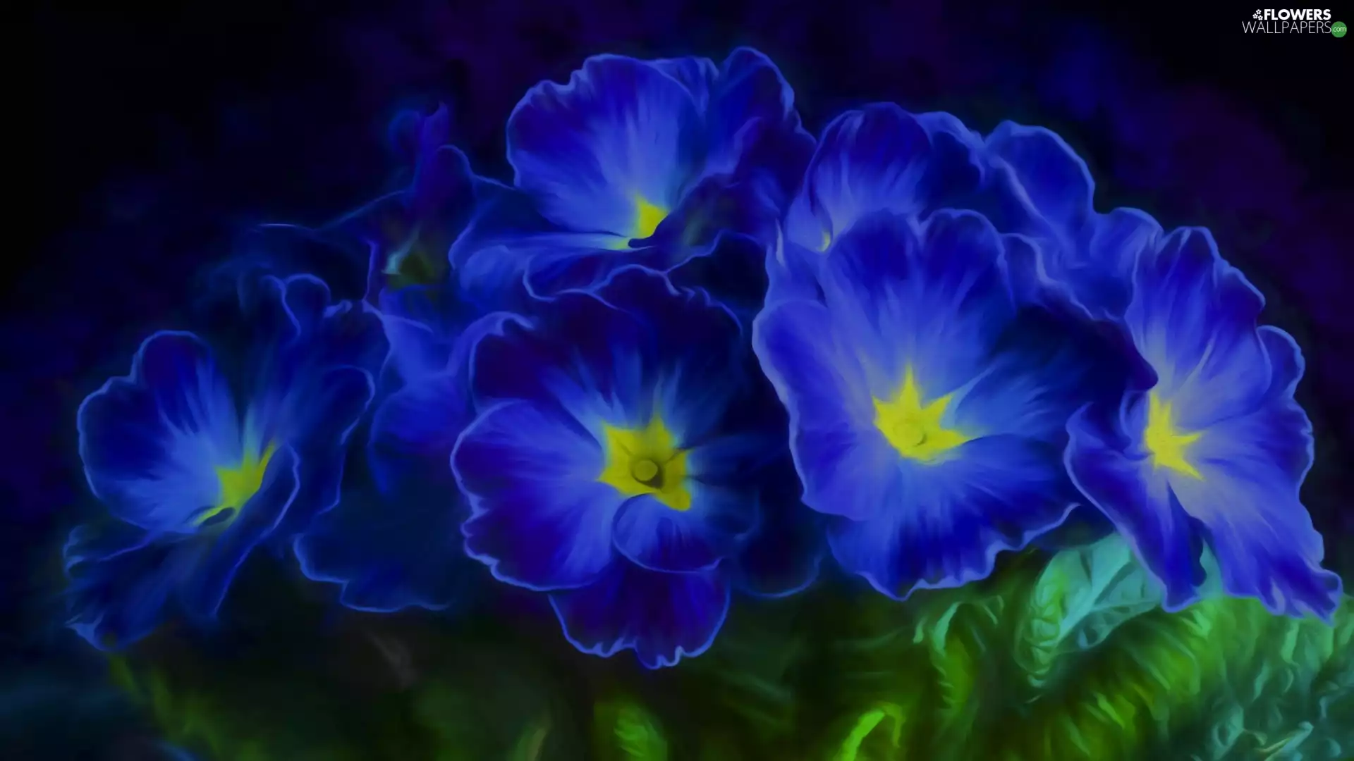 Blue, primroses, 2D Graphics, Flowers