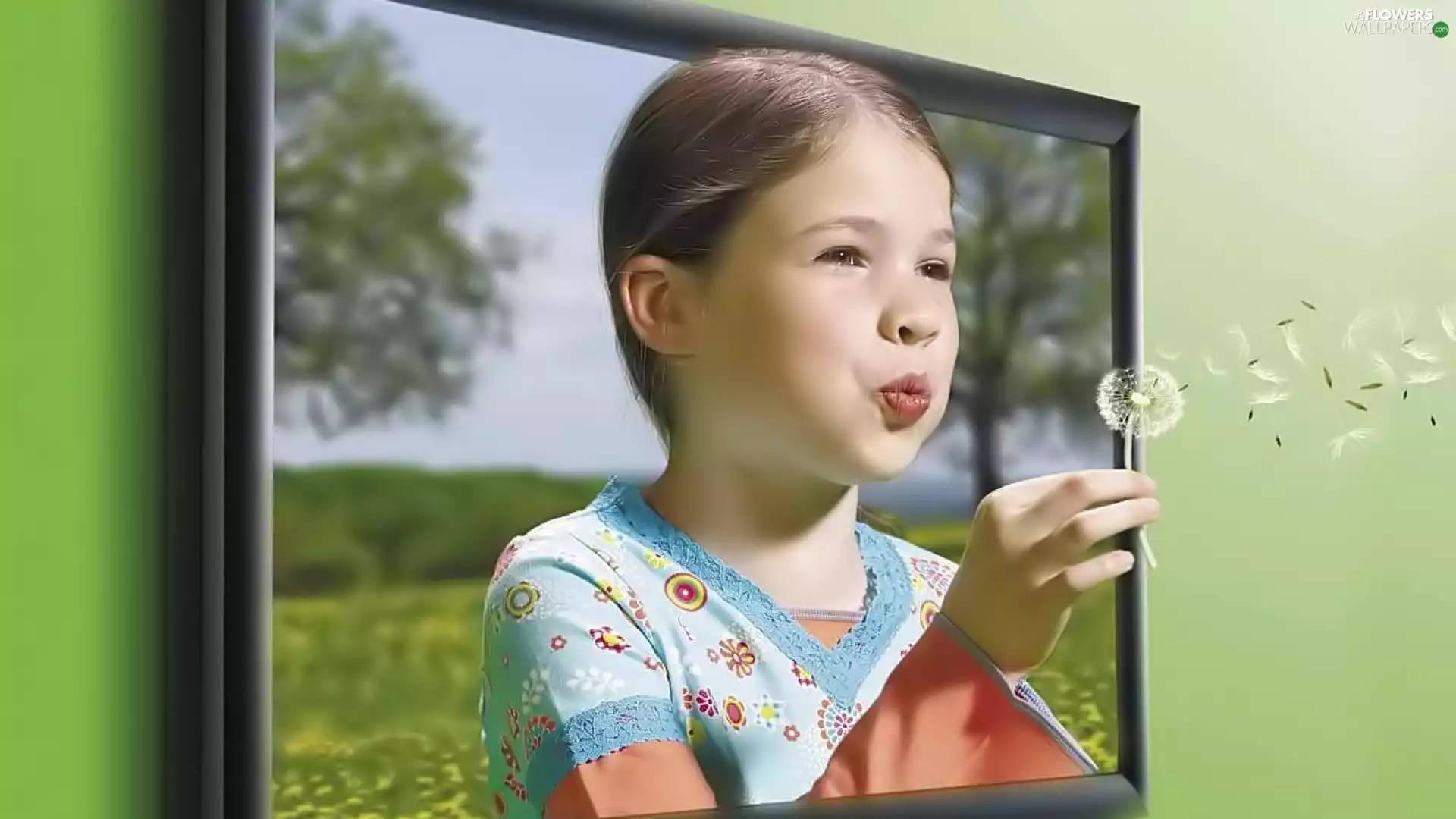 girl, puffball, sow-thistle, TV