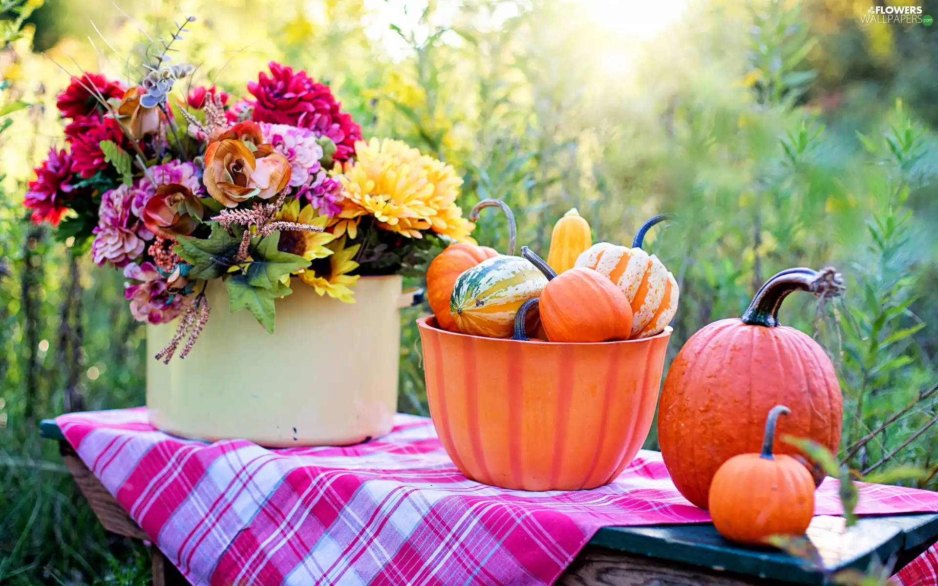 bowl, autumn, bouquet, pumpkin, Garden, Flowers, composition