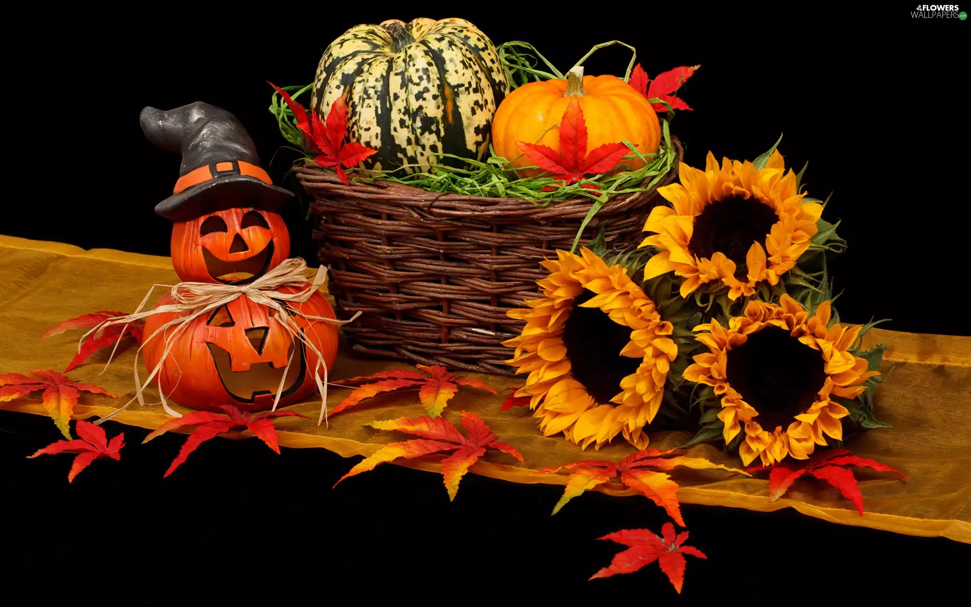 basket, pumpkin, halloween, Nice sunflowers