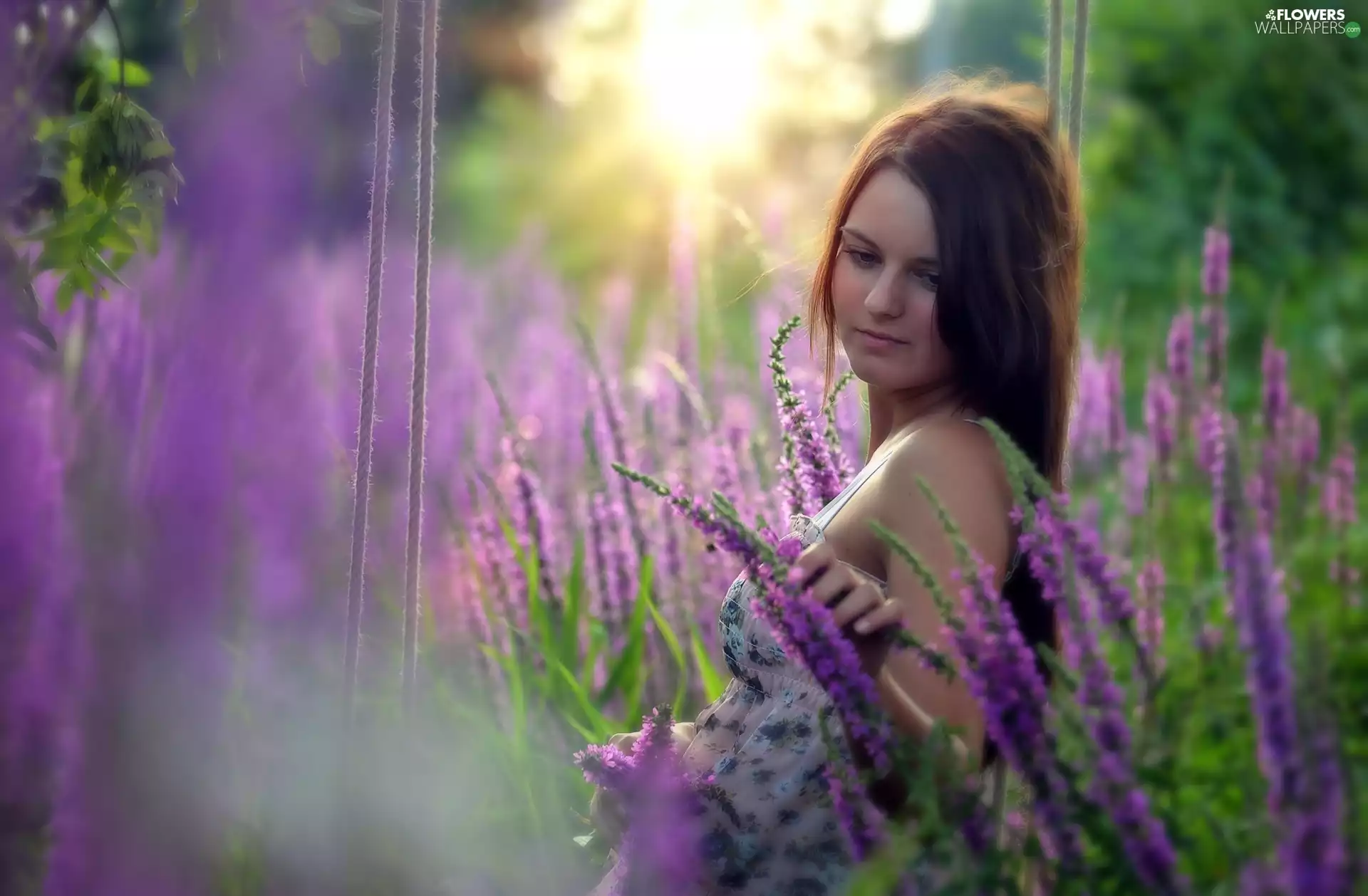 Women, Flowers, lavender, purple