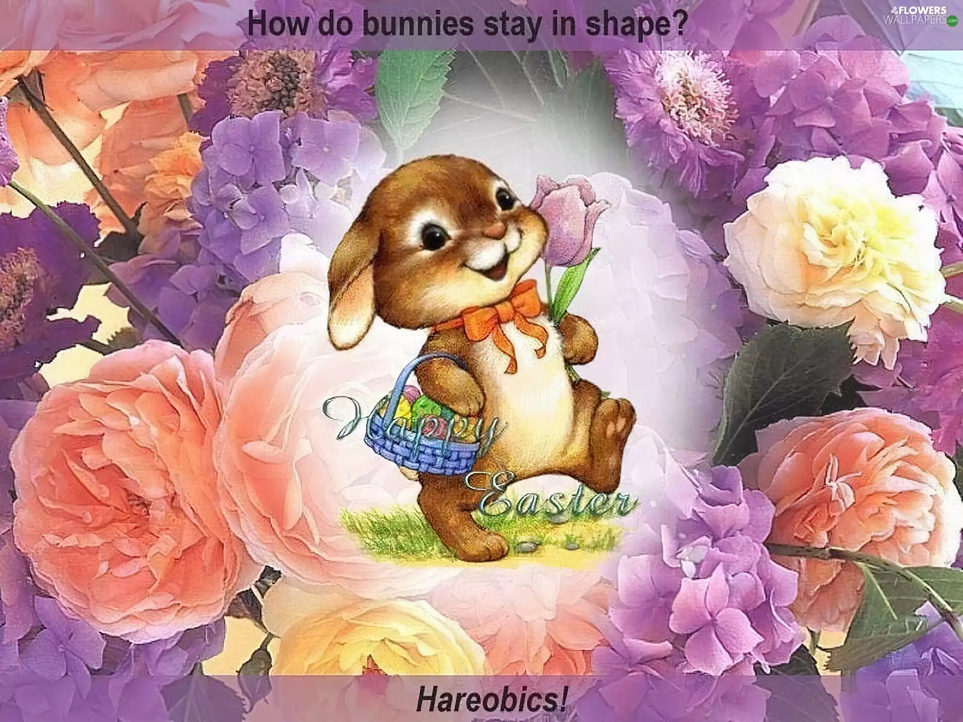 rabbit, Easter, roses