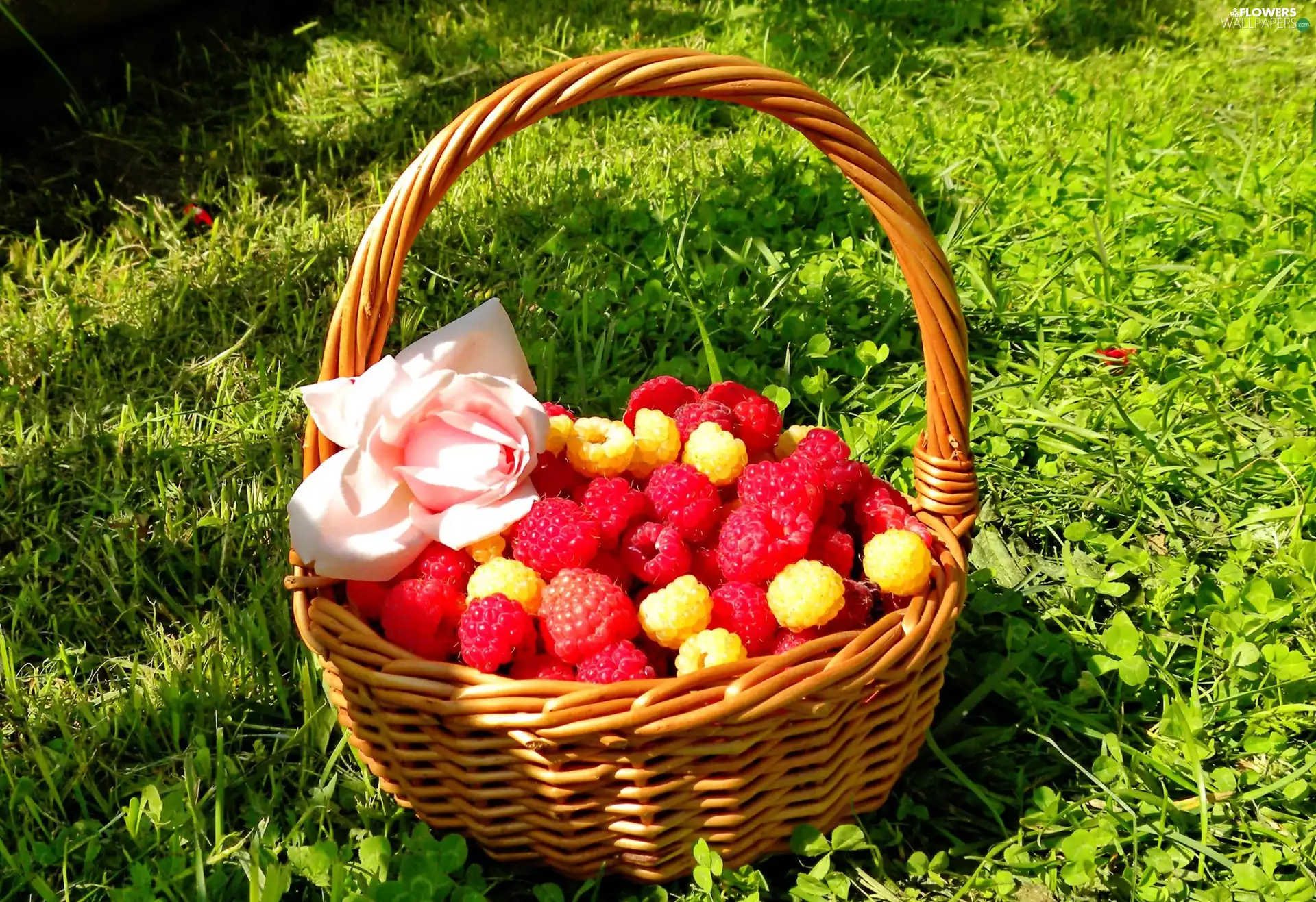 basket, rose, Meadow, raspberry