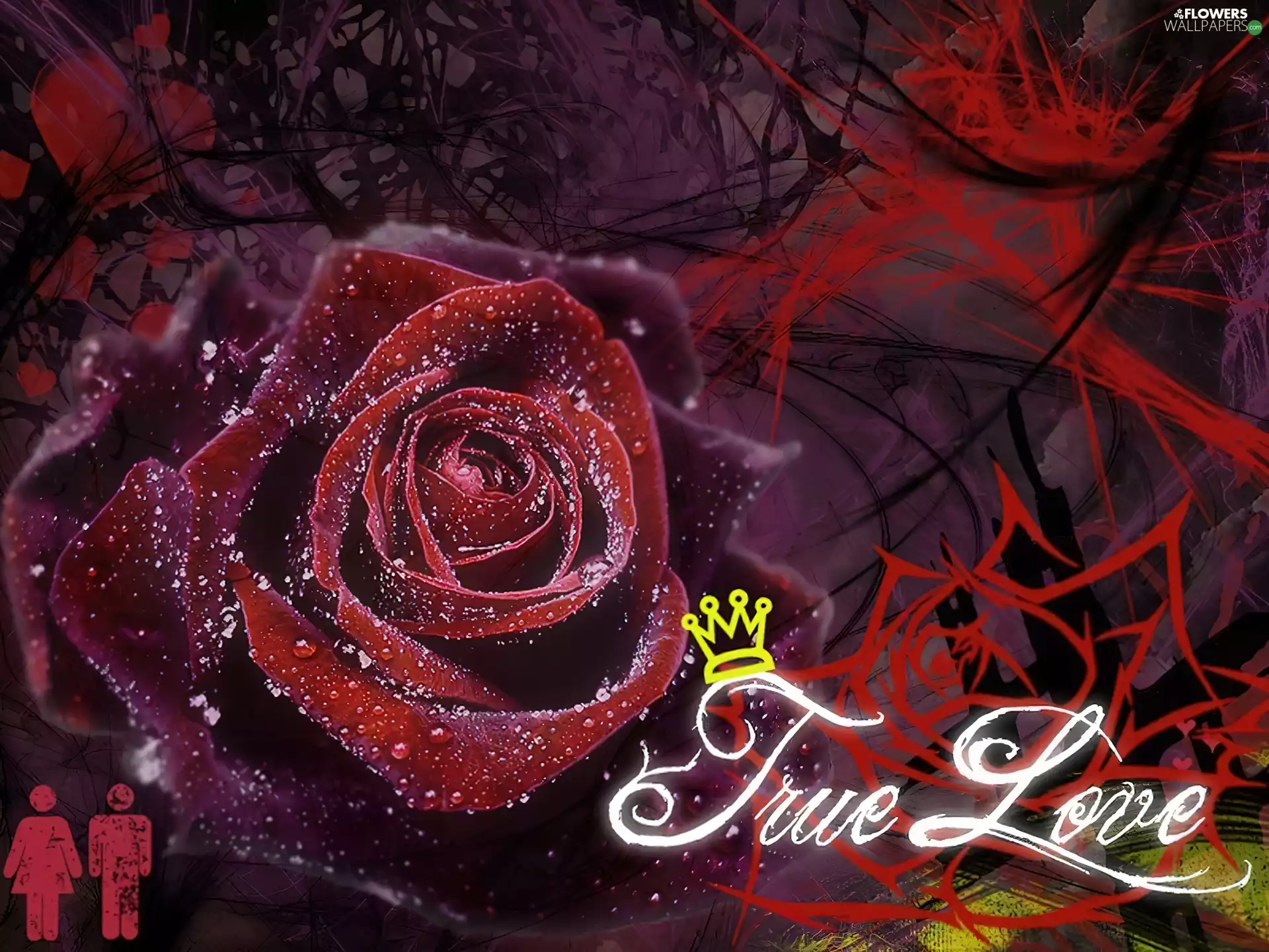 red hot, The real, love, rose