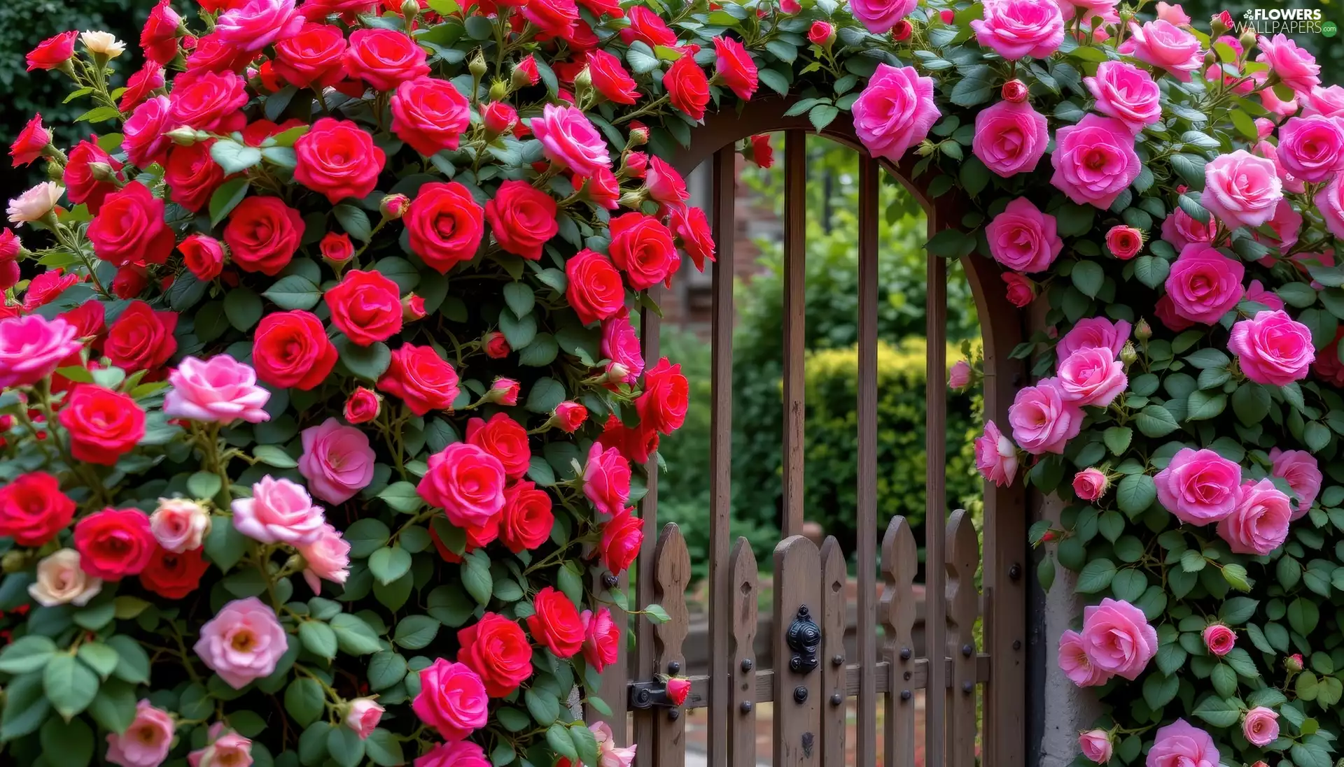 Flowers, Climbing, Ai, roses, Pink, Gate, Garden, Red