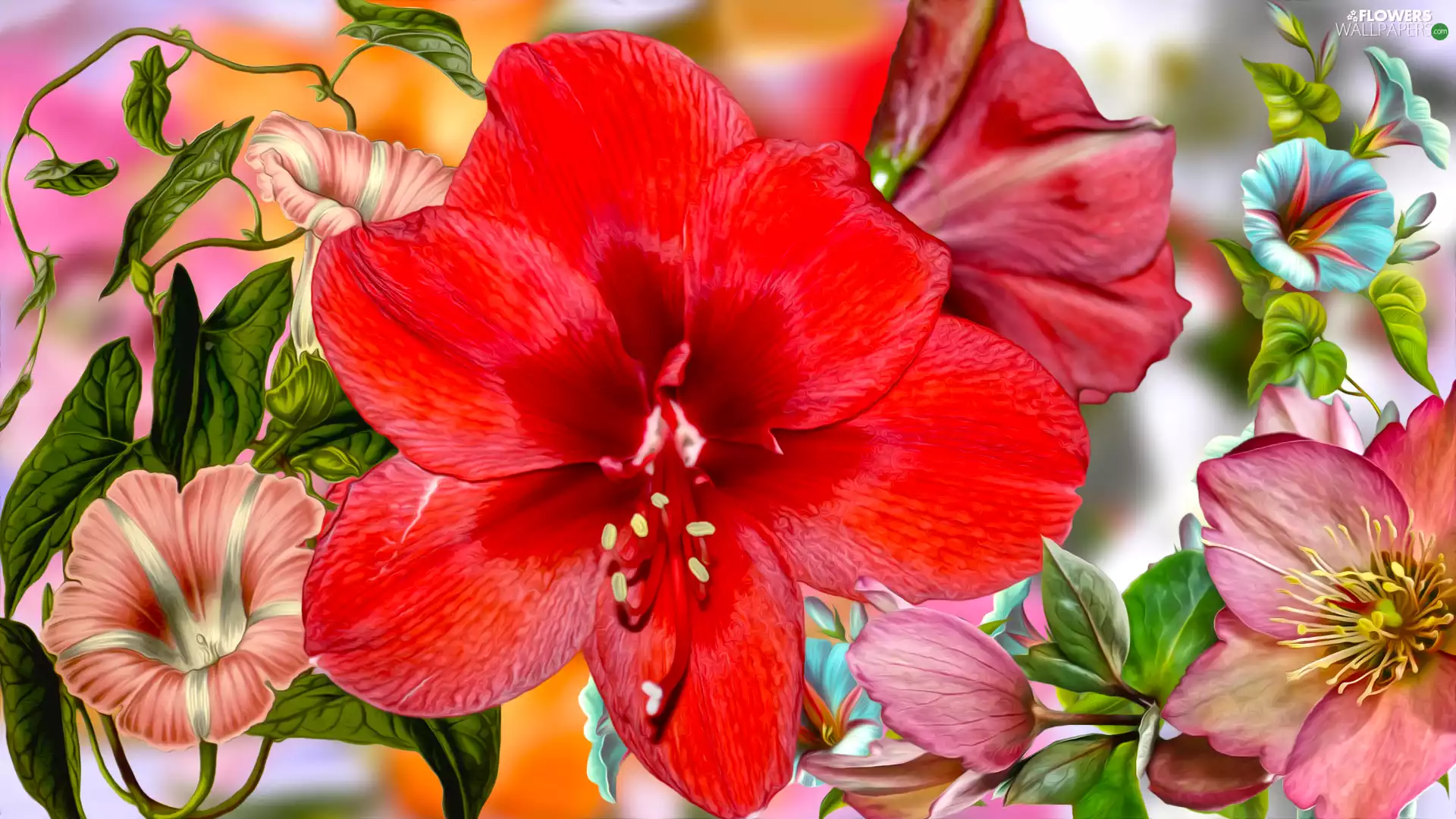Flowers, amaryllis, graphics, Red