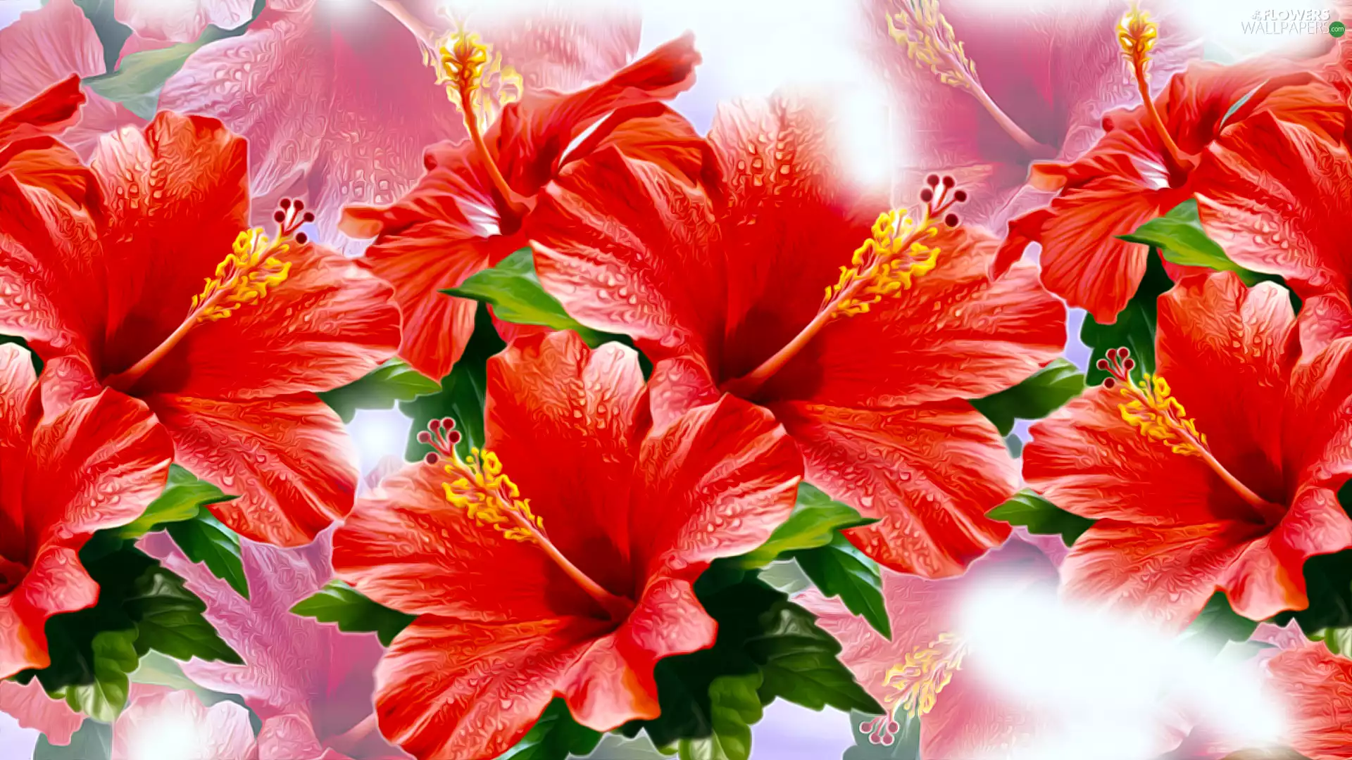 Flowers, hibiscus, graphics, Red