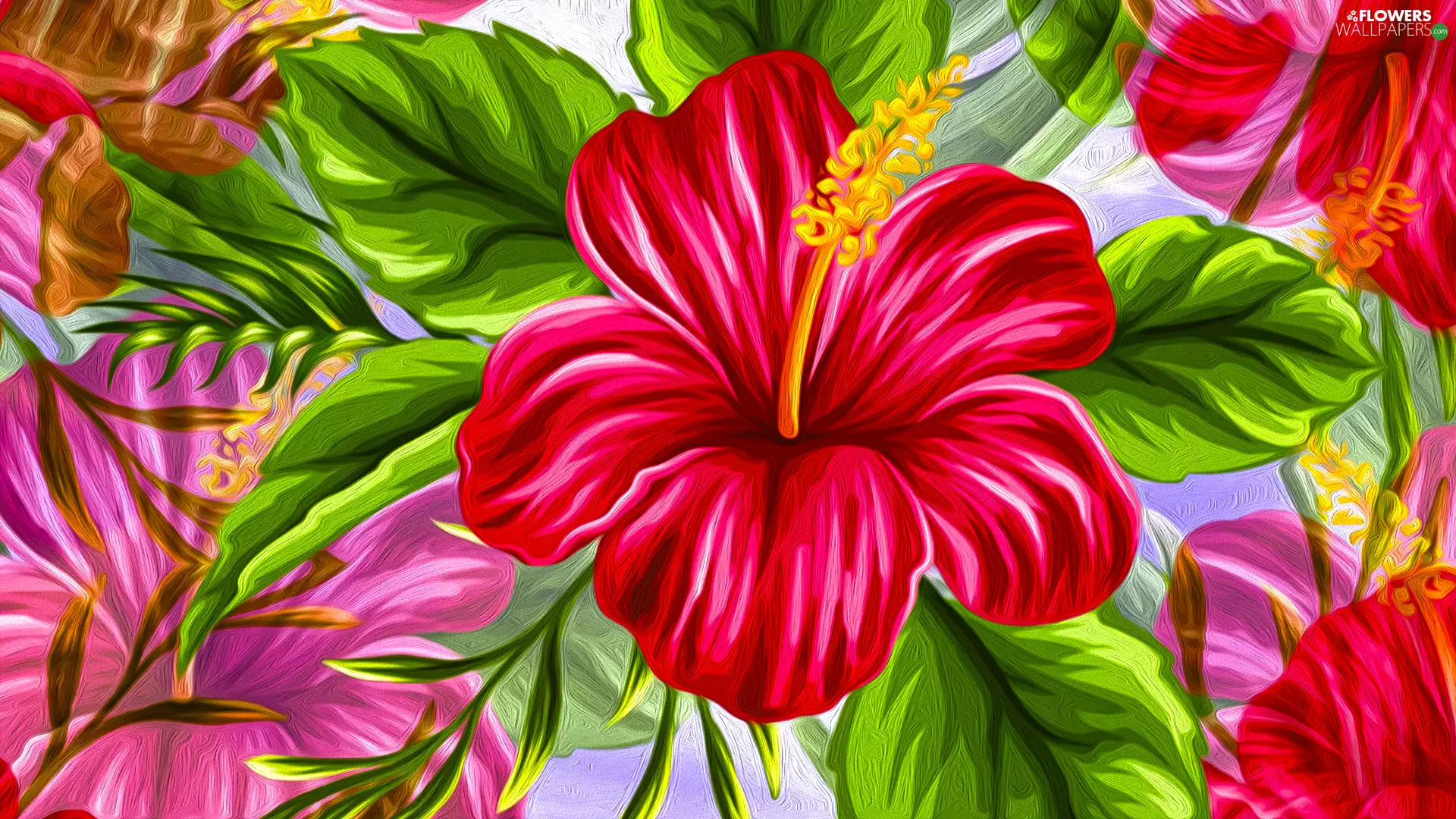 Flowers, hibiskus, graphics, Red