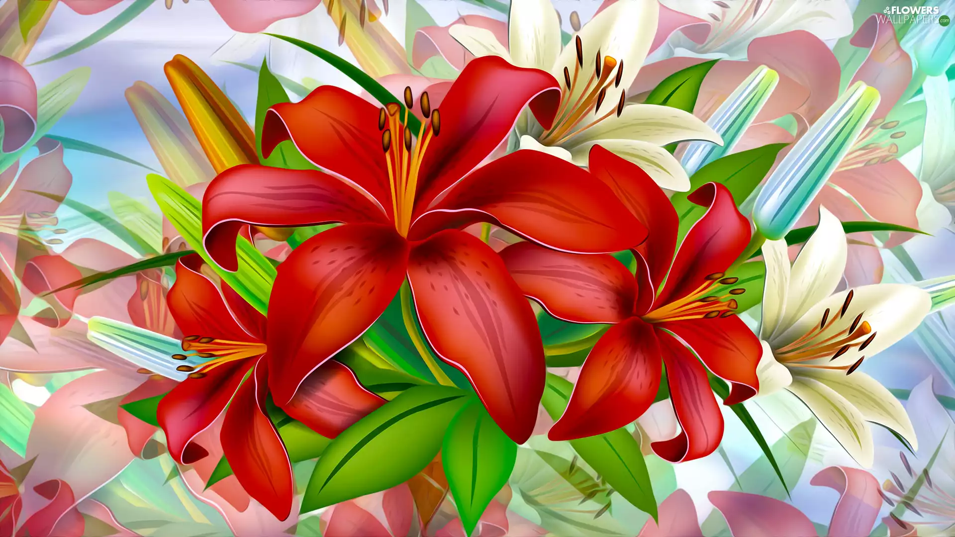 lilies, 2D Graphics, Red, White, Flowers