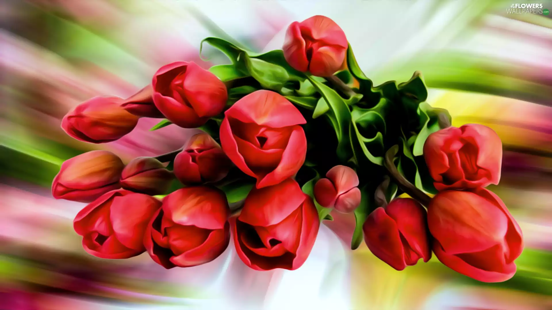 Flowers, Tulips, graphics, Red