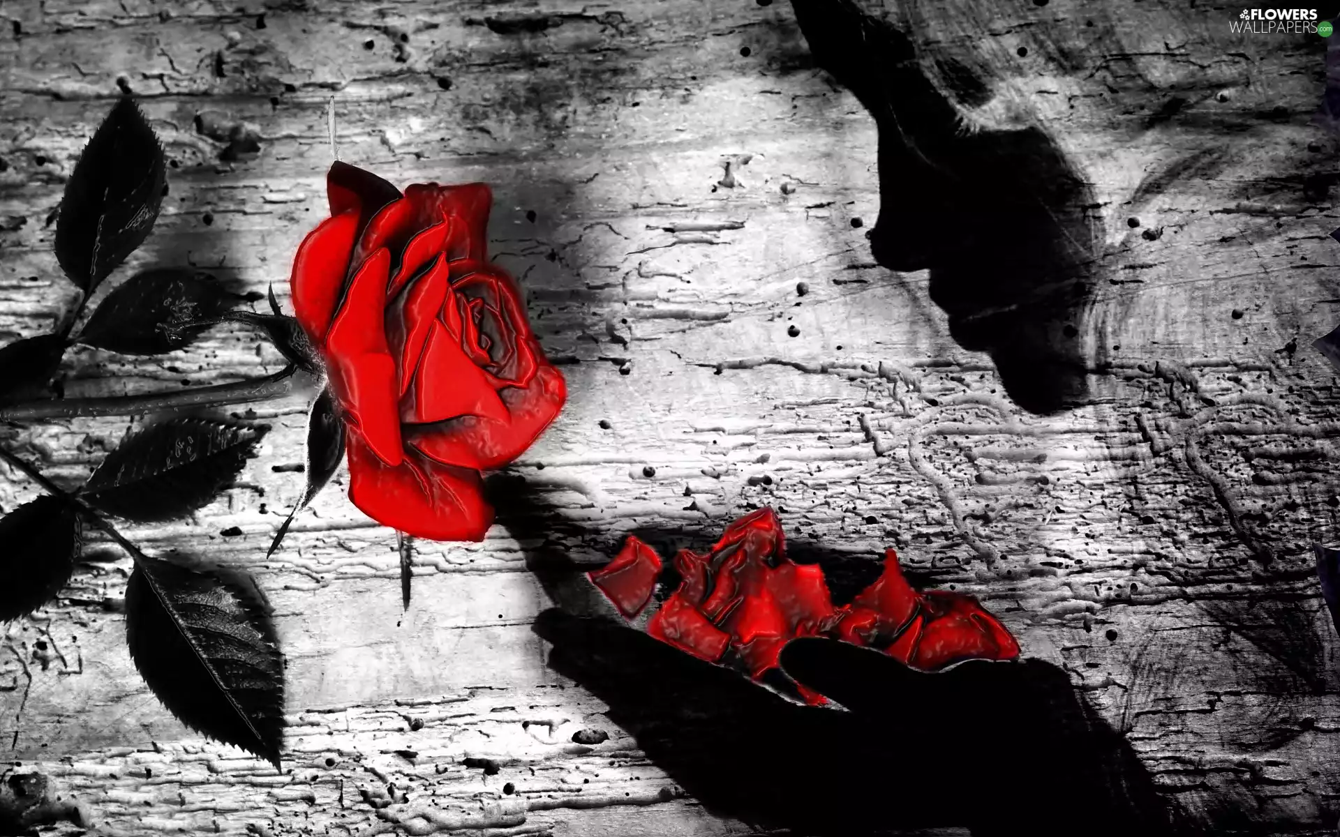 rose, flakes, girl, red hot, graphics