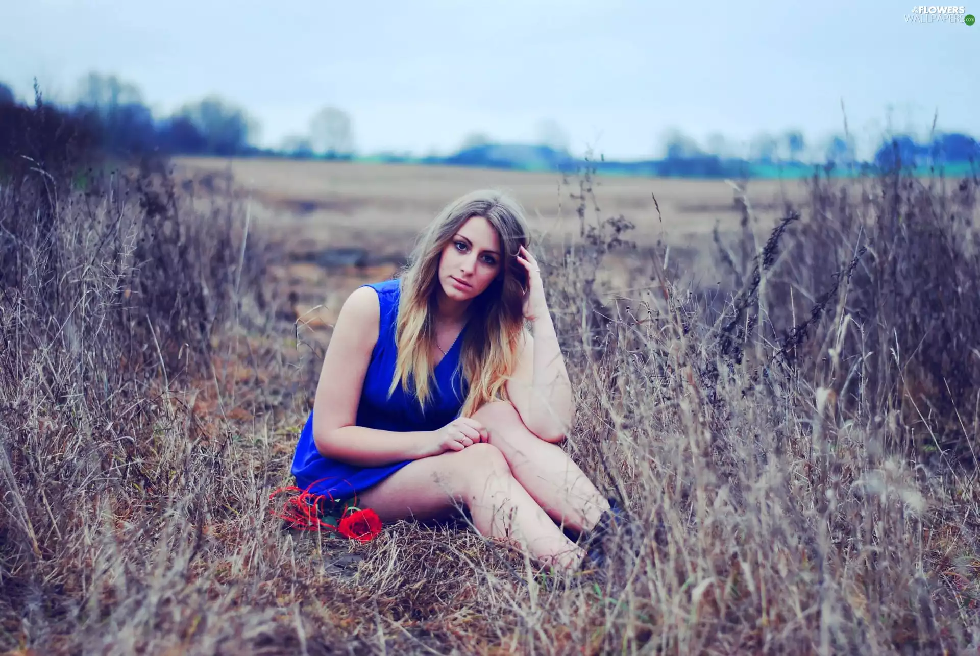 Women, red hot, rose, Blonde