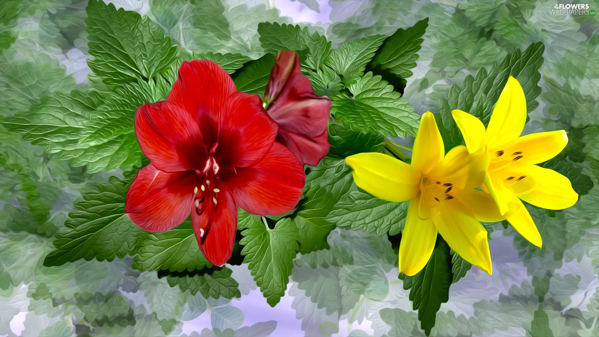 Yellow, Flowers, leaves, Red, graphics, lilies, mint