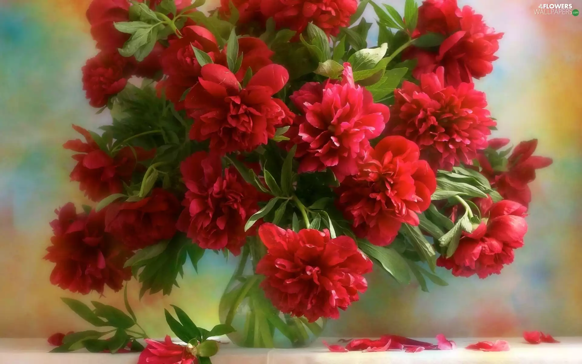 Red, Peonies