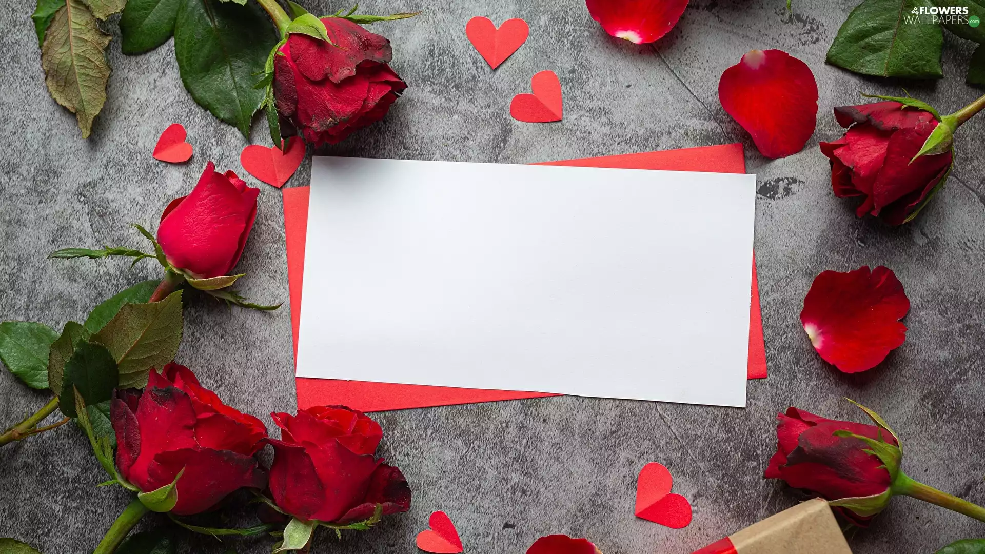 roses, card, envelope, Red