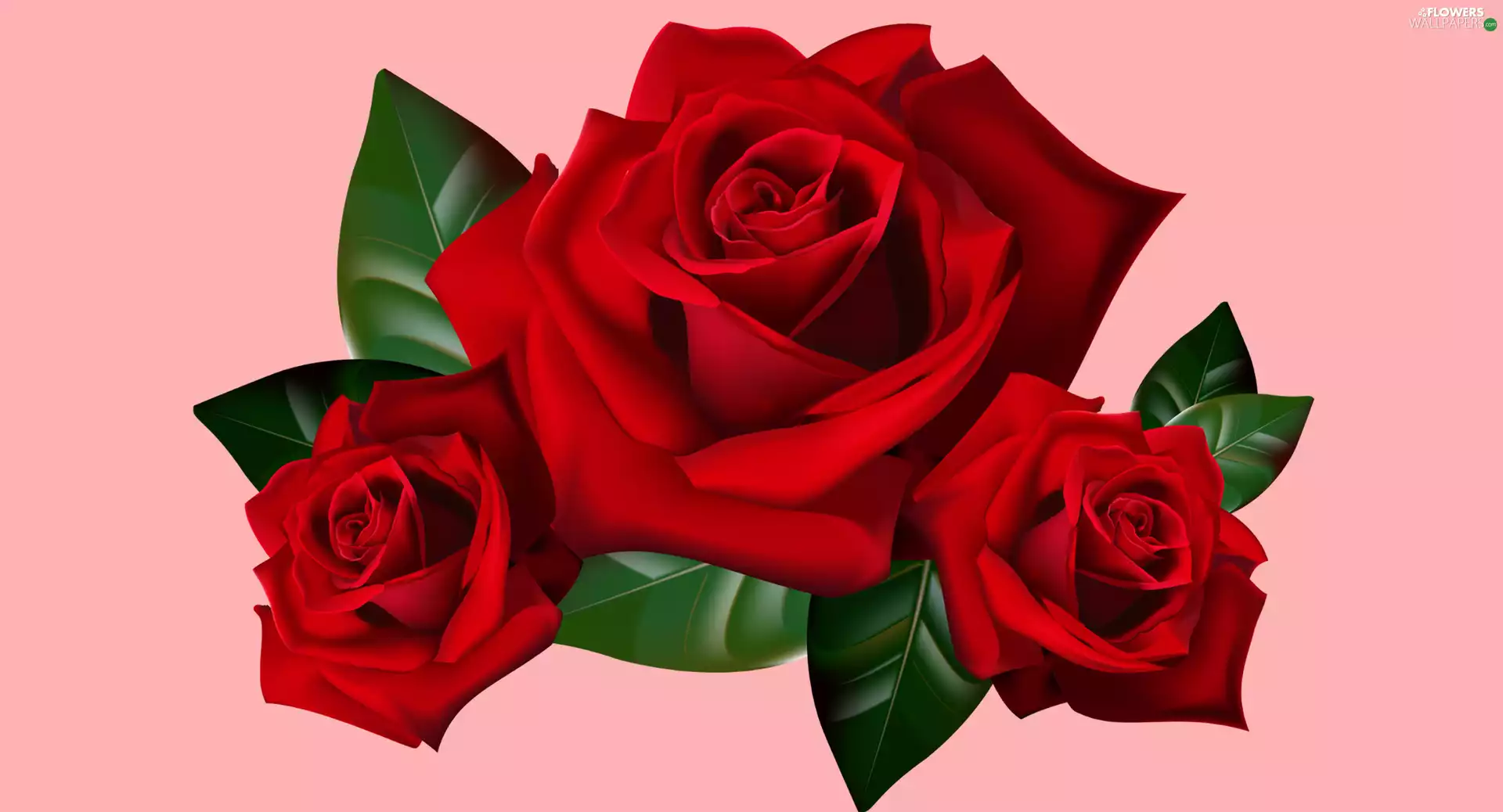 Three, roses, 2D, Red