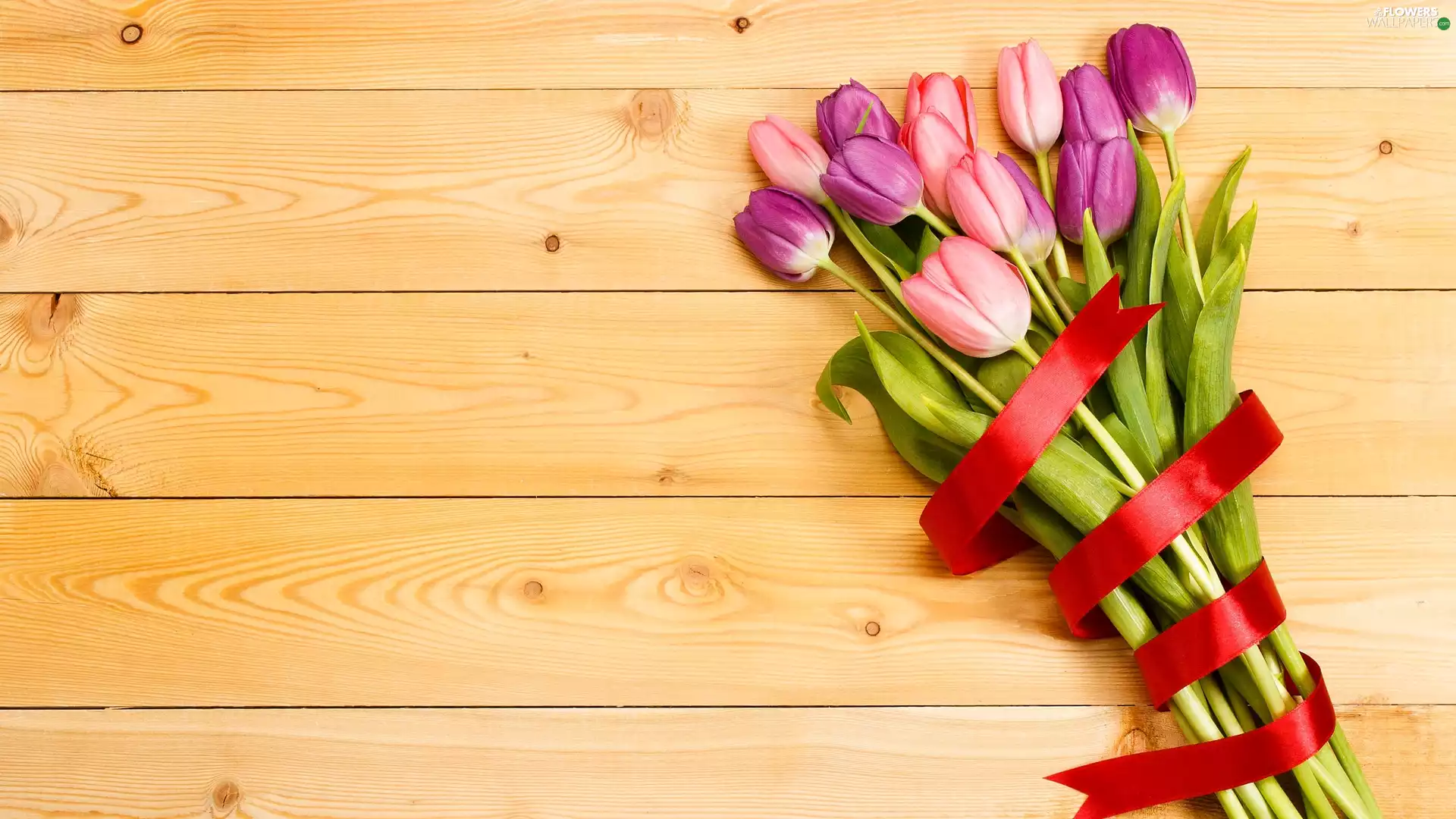 ribbon, boarding, bouquet, red hot, Tulips