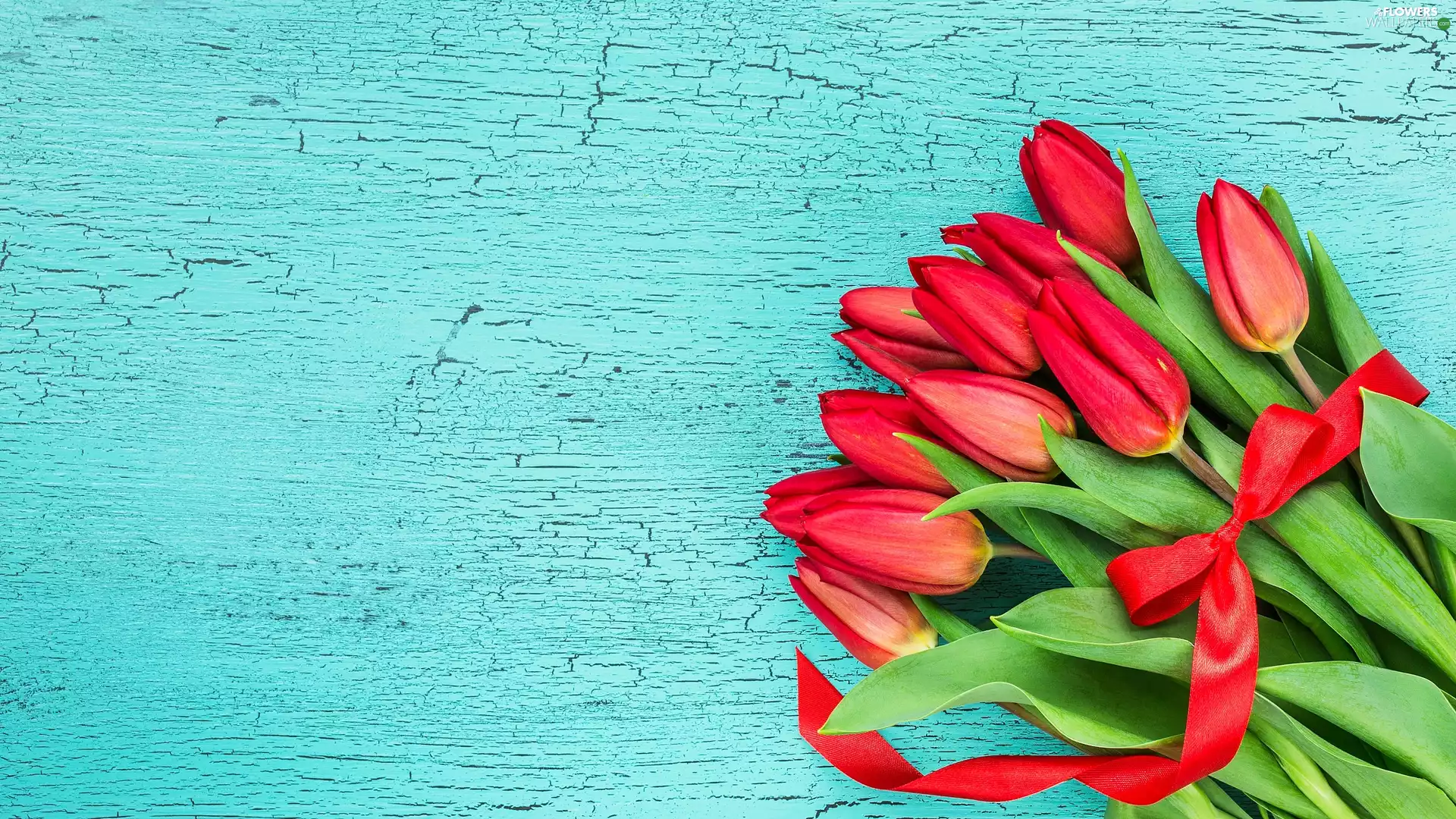 Tulips, ribbon, bouquet, Red