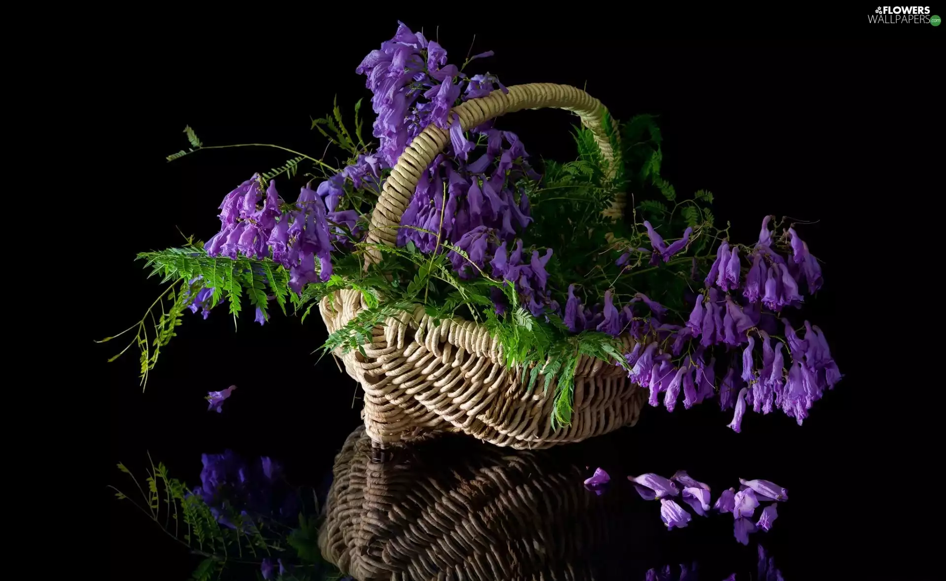 basket, reflection, Flowers, bouquet, purple