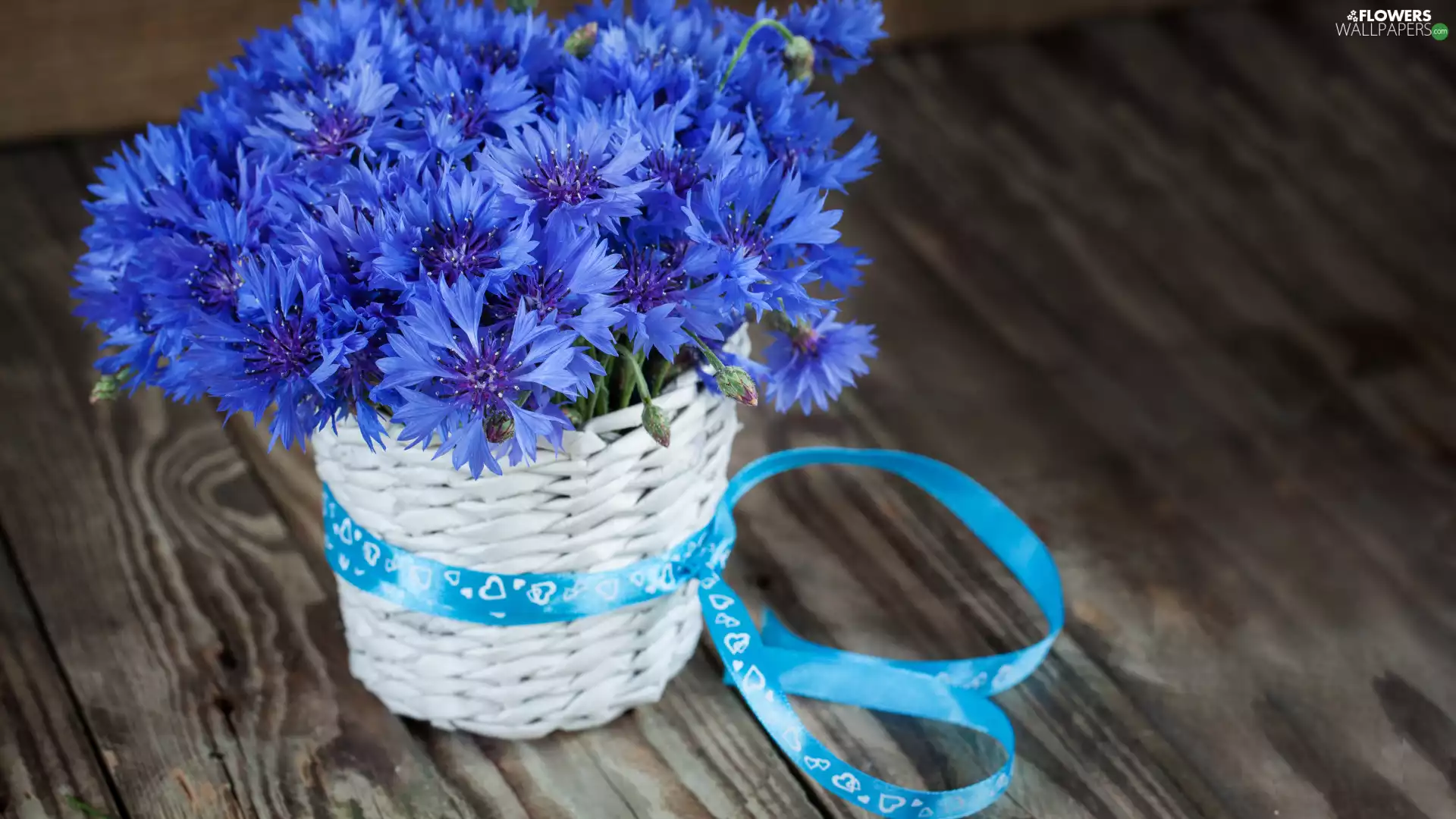 basket, ribbon, Blue, cornflowers, Flowers