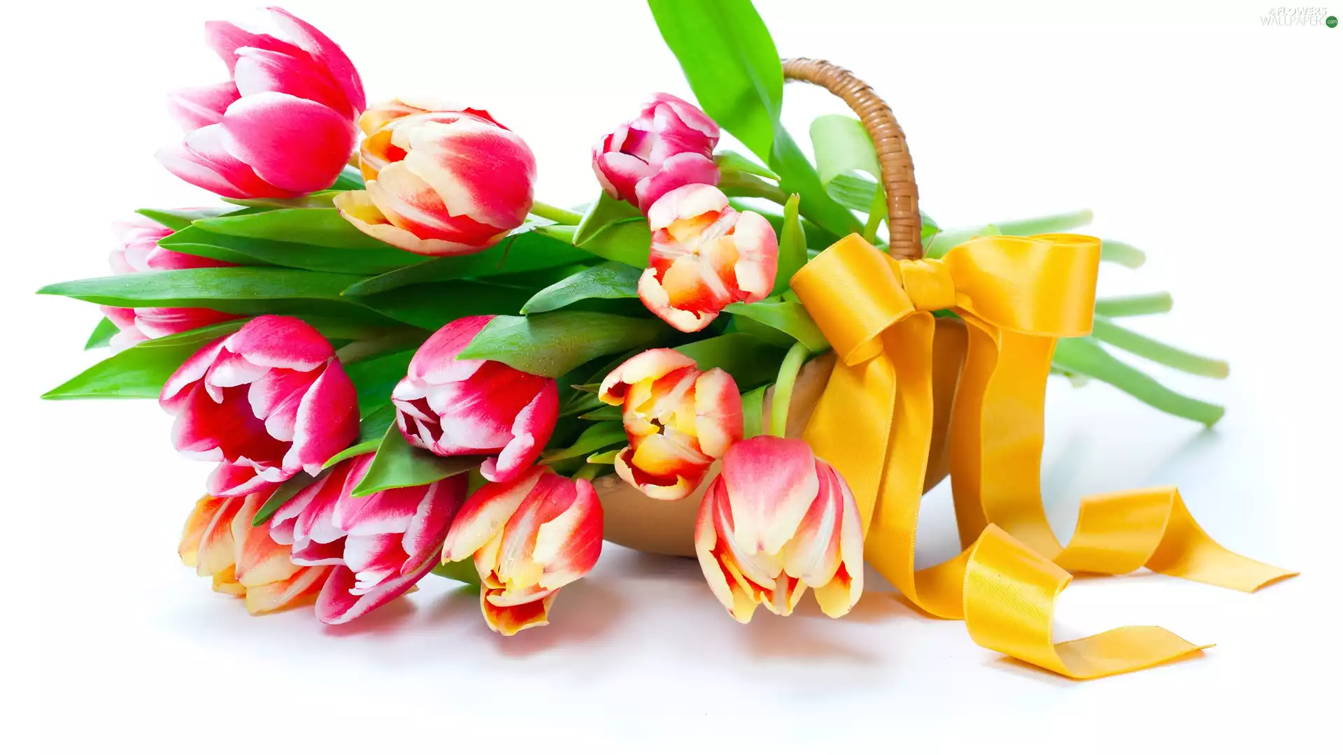 bouquet, basket, ribbon, tulips
