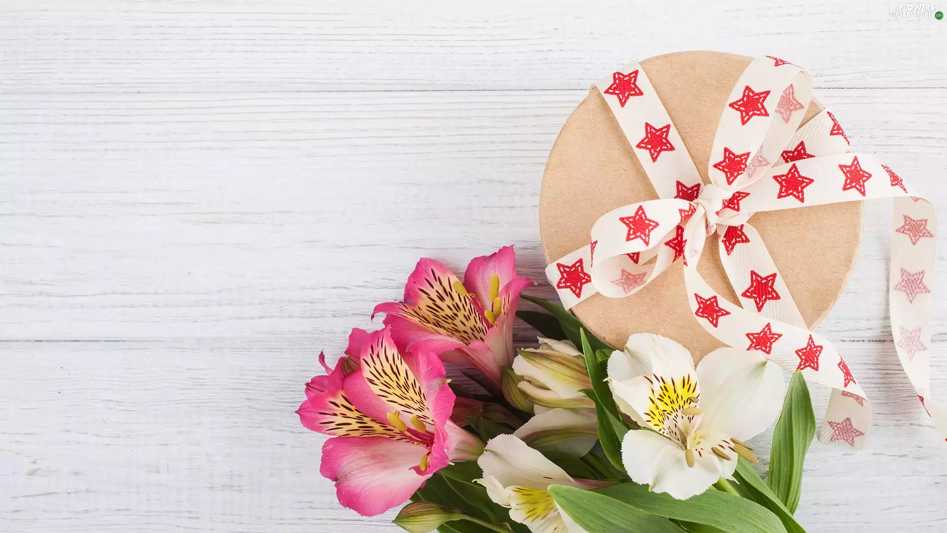 ribbon, Alstroemeria, Box