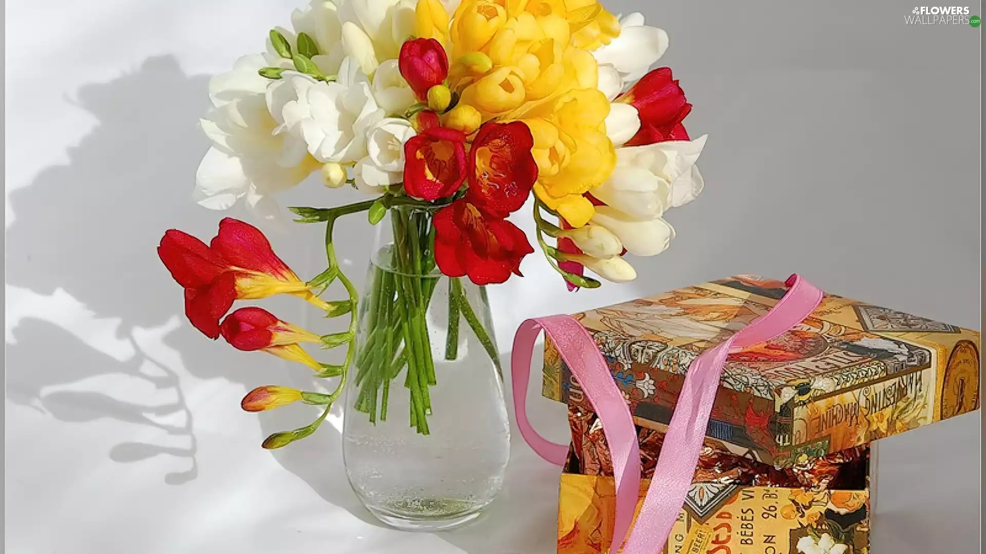 color, Boxes, ribbon, Freesias