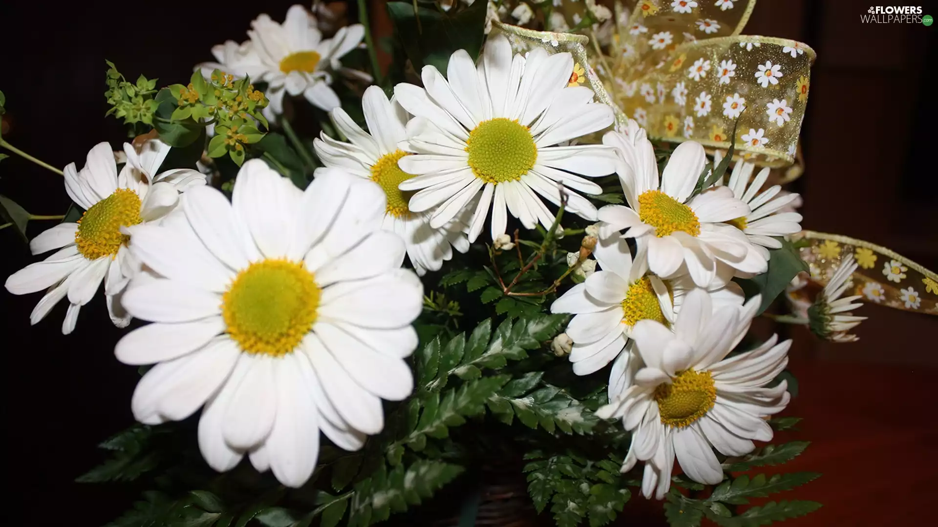 ribbon, White, daisy