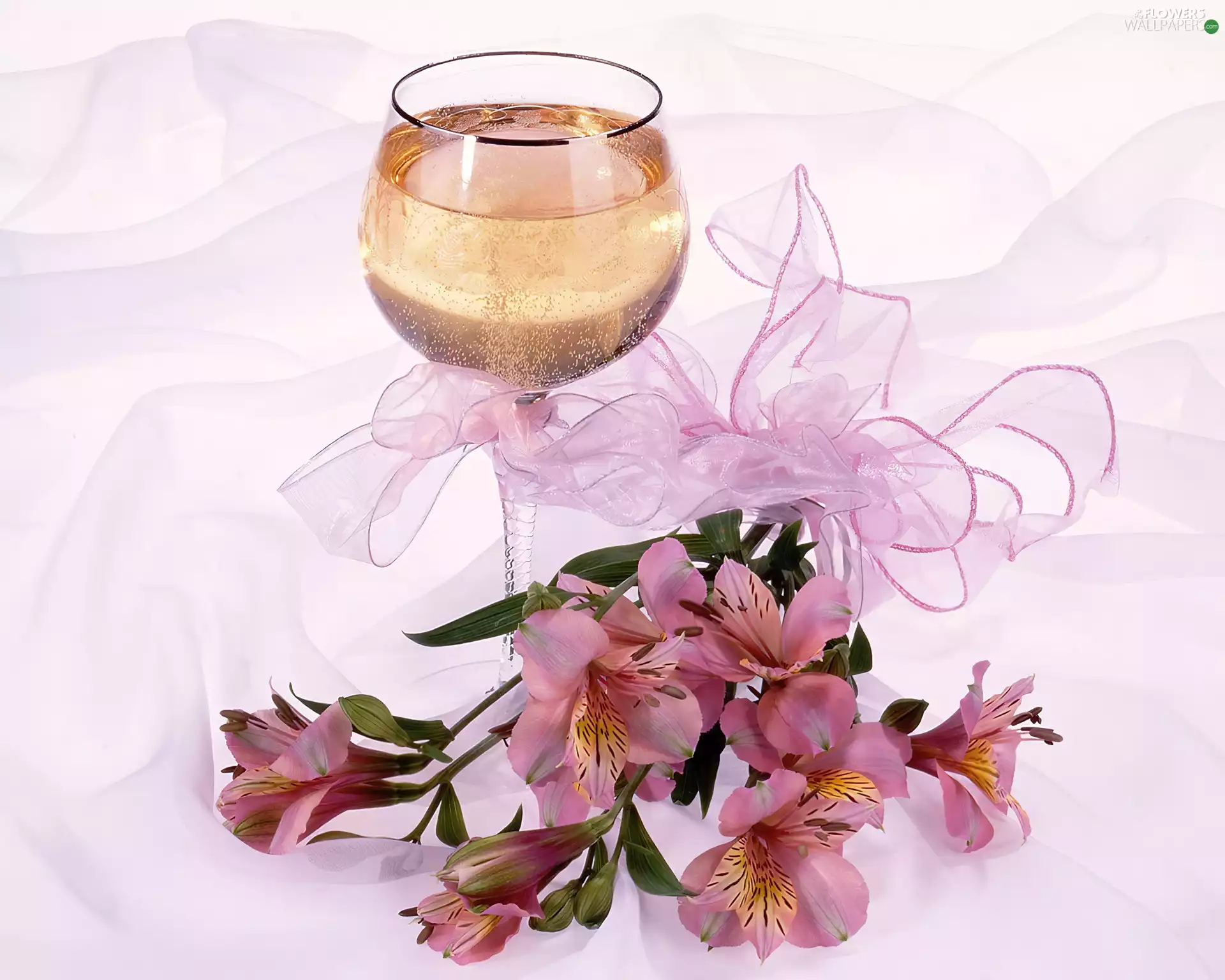 ribbon, glass, Flowers