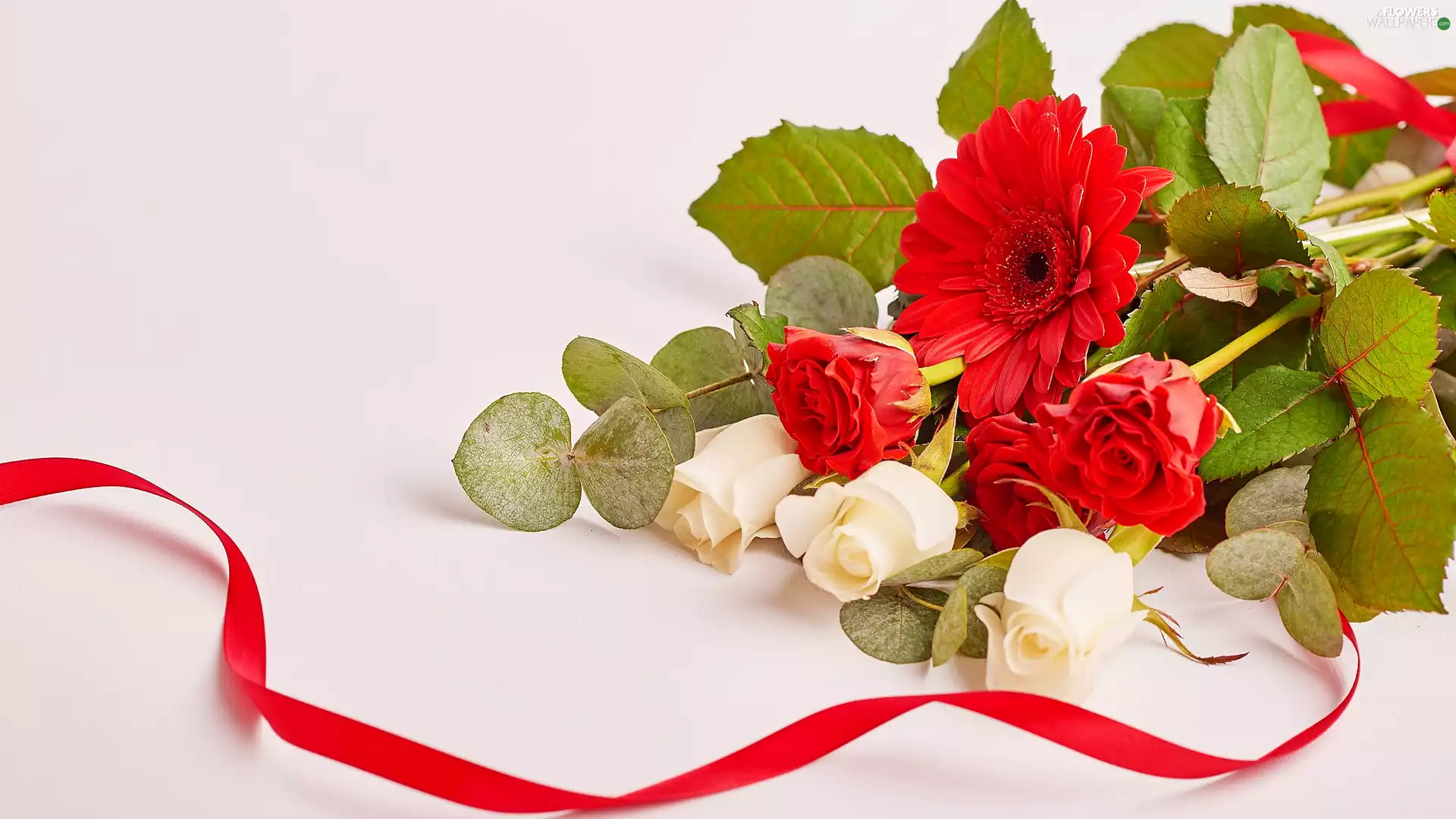 bunch, ribbon, Gerbera, Leaf, roses