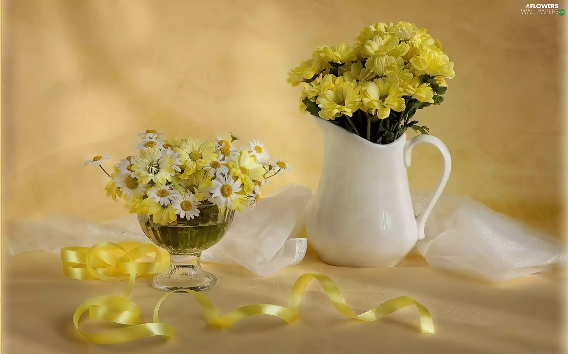 daisy, ribbon, jug, Yellow, White