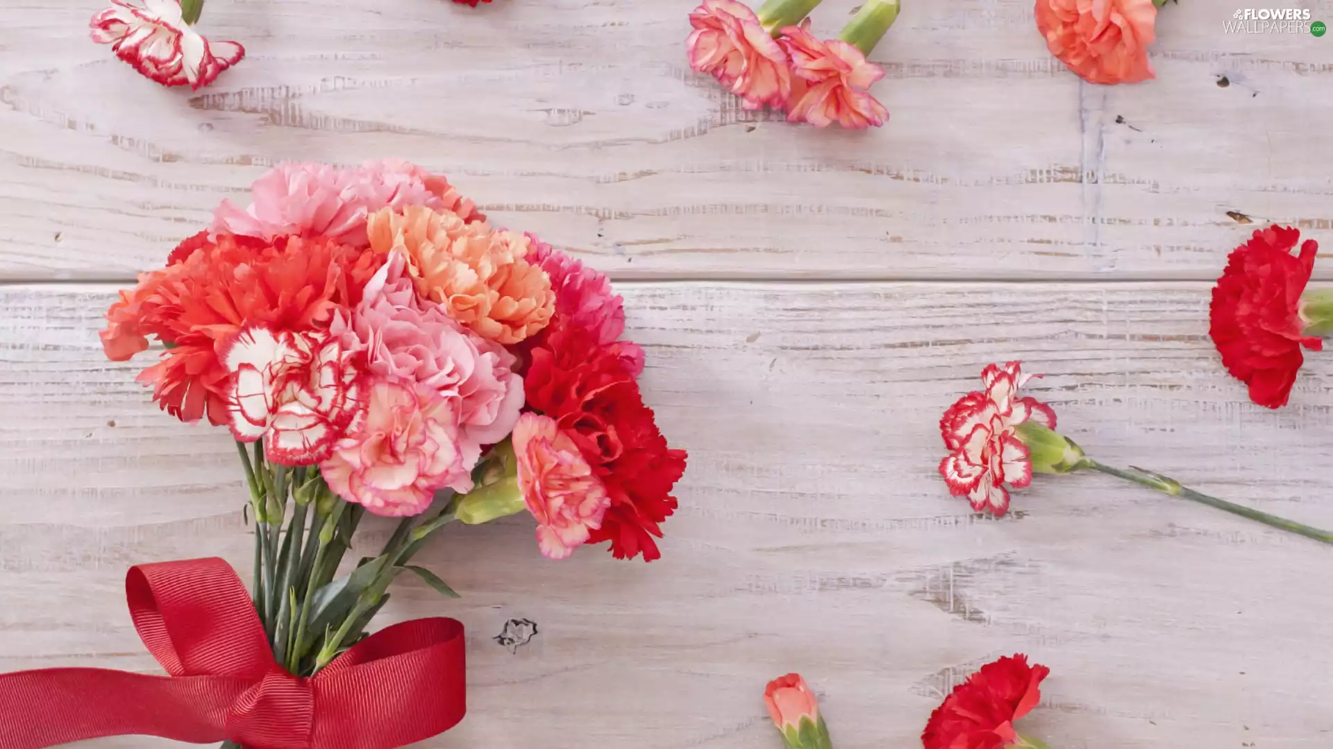 Flowers, ribbon, red hot, cloves